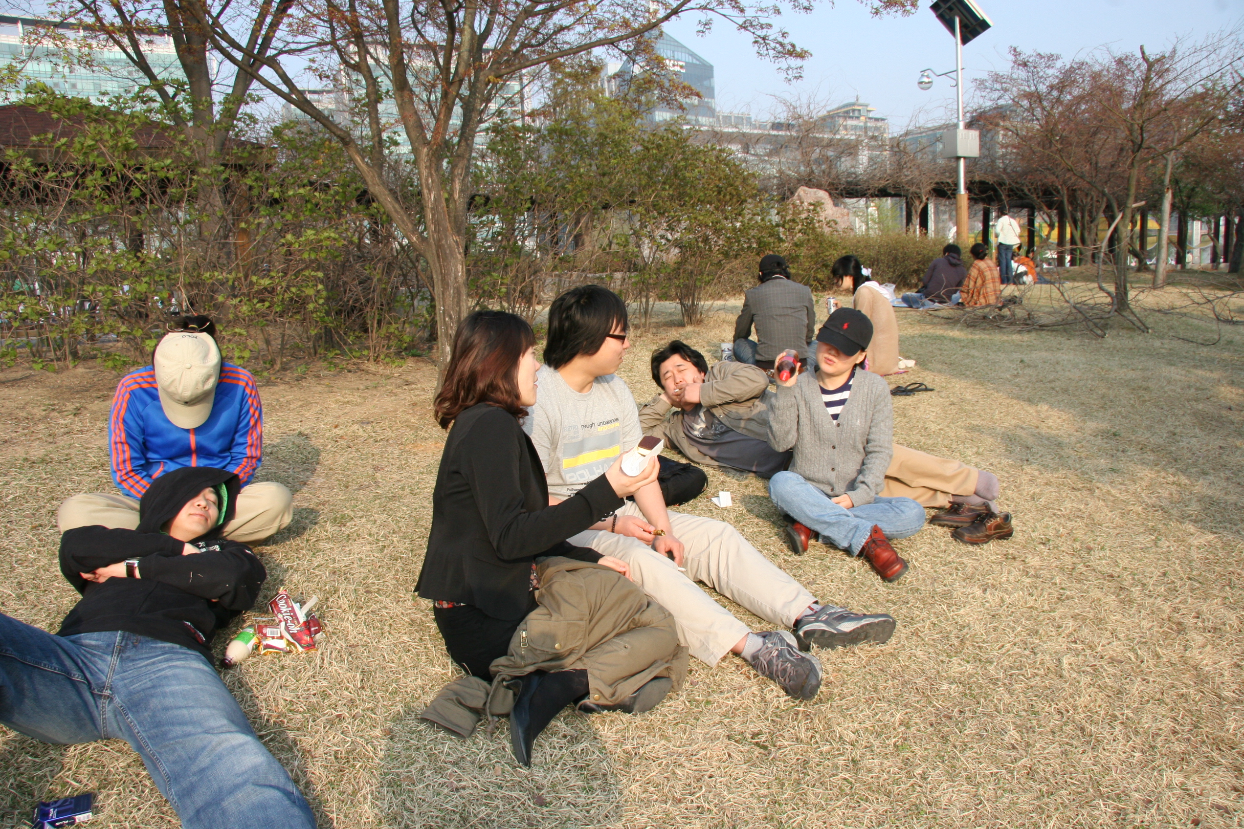 IMG_8389.JPG