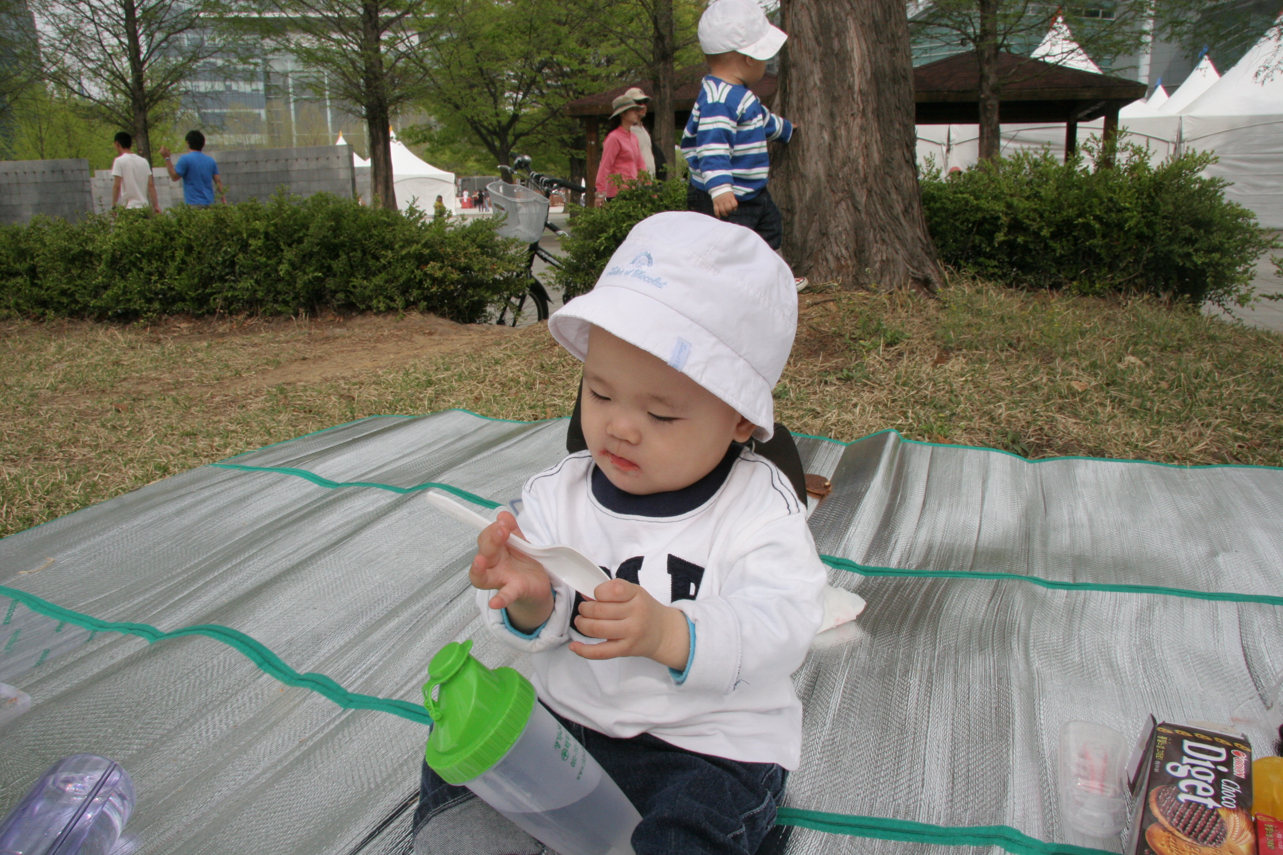 IMG_8487.JPG
