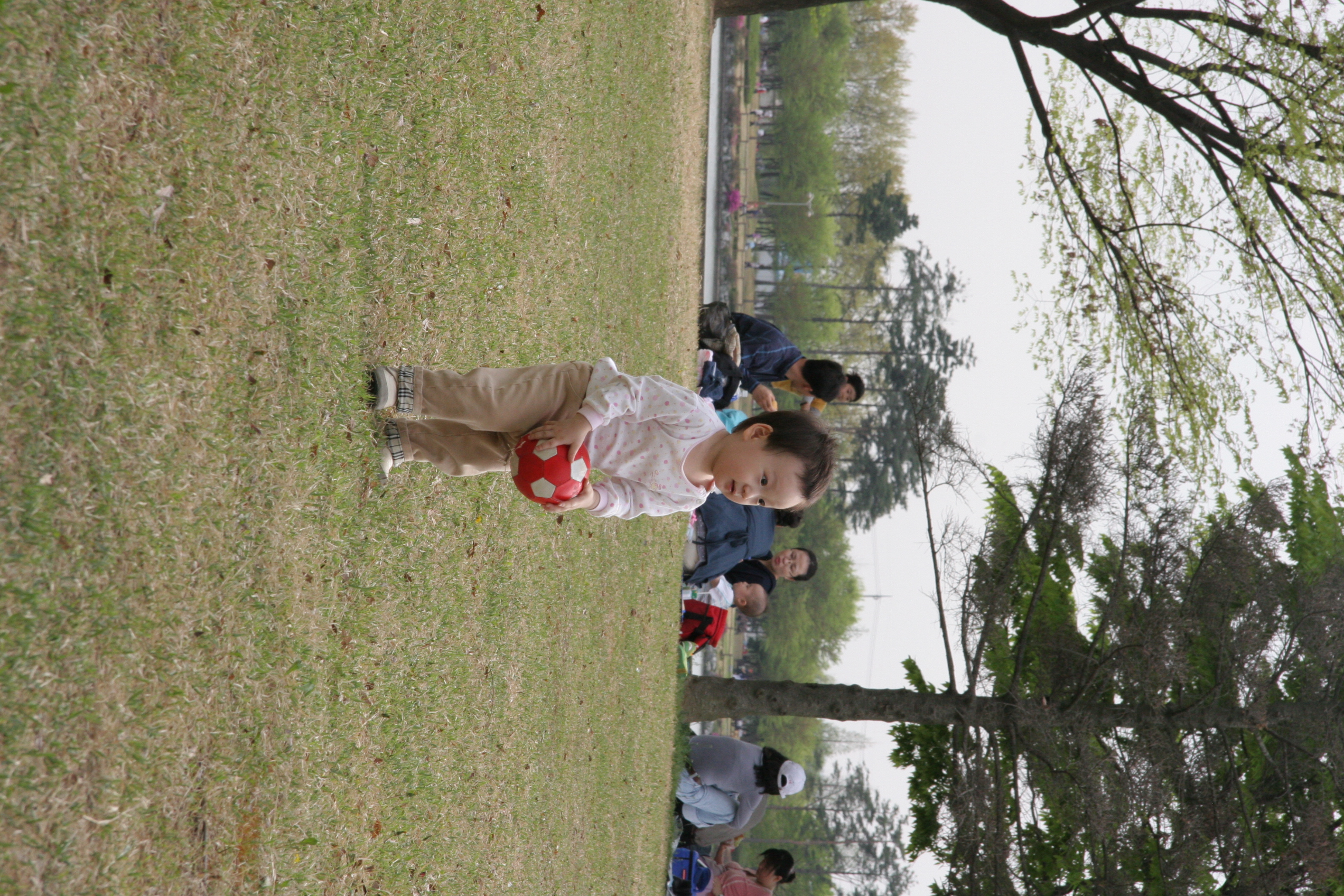 IMG_8496.JPG