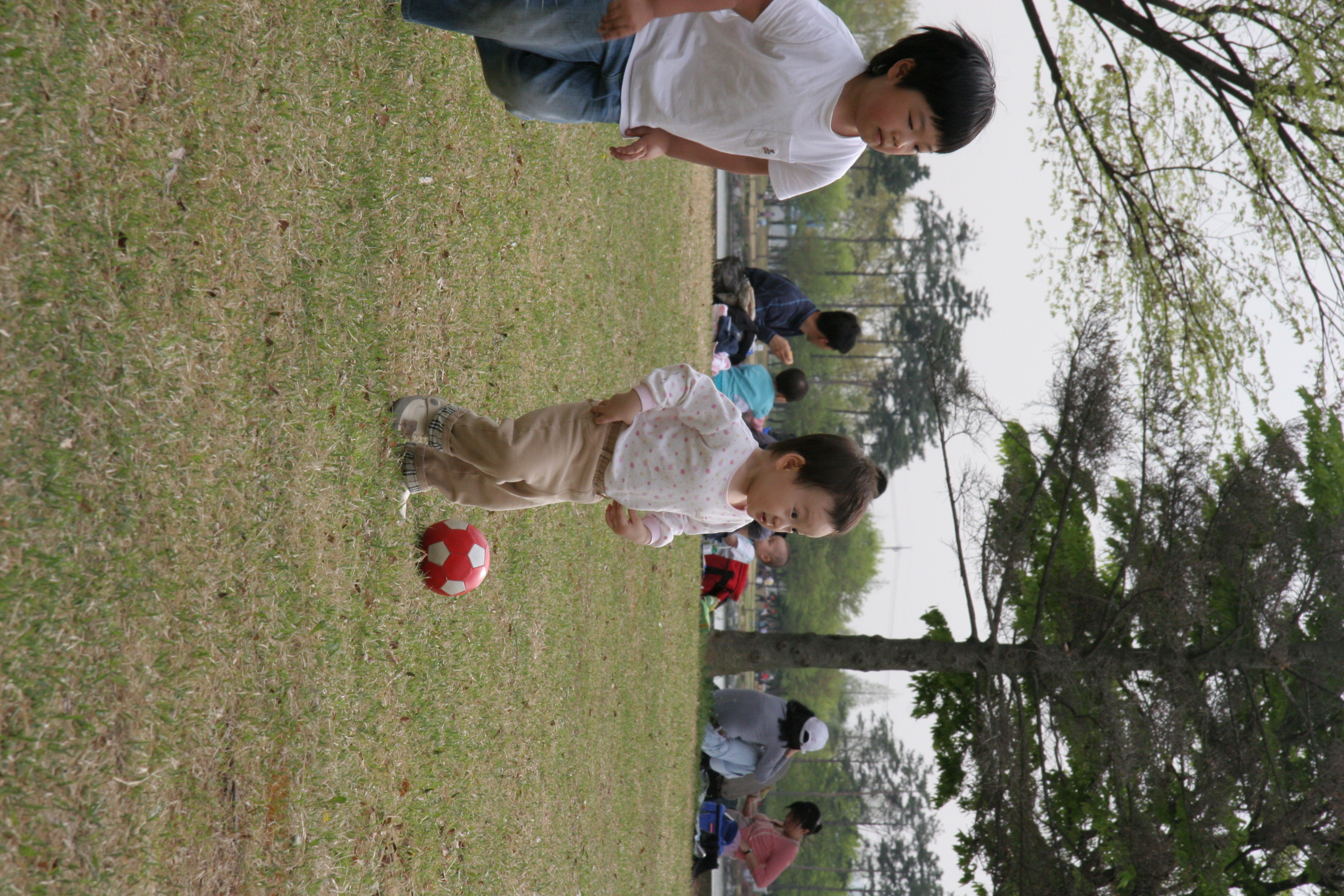 IMG_8497.JPG