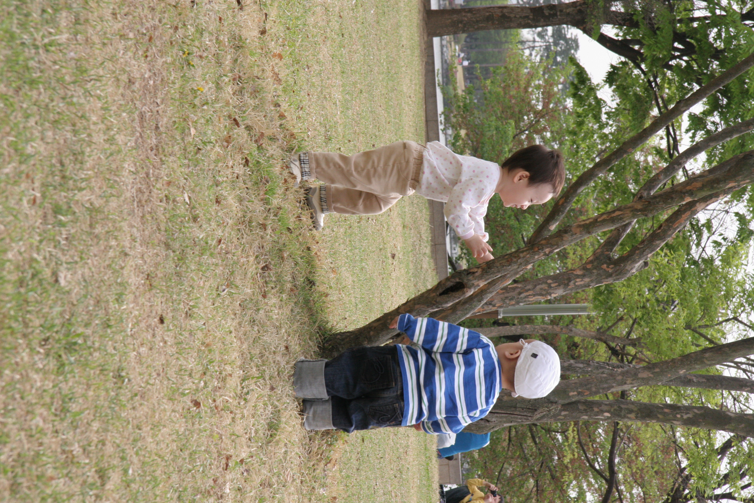 IMG_8498.JPG