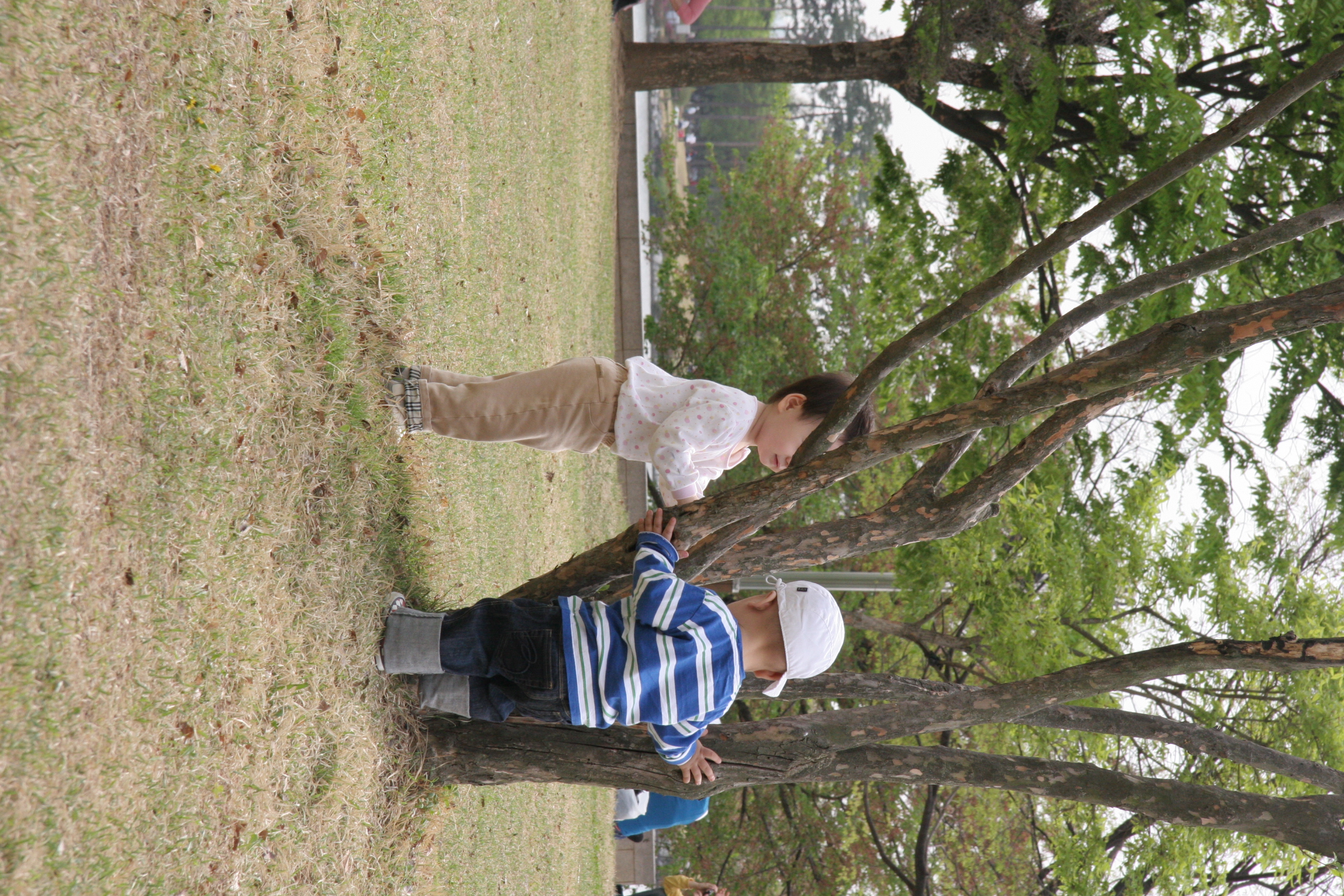 IMG_8499.JPG