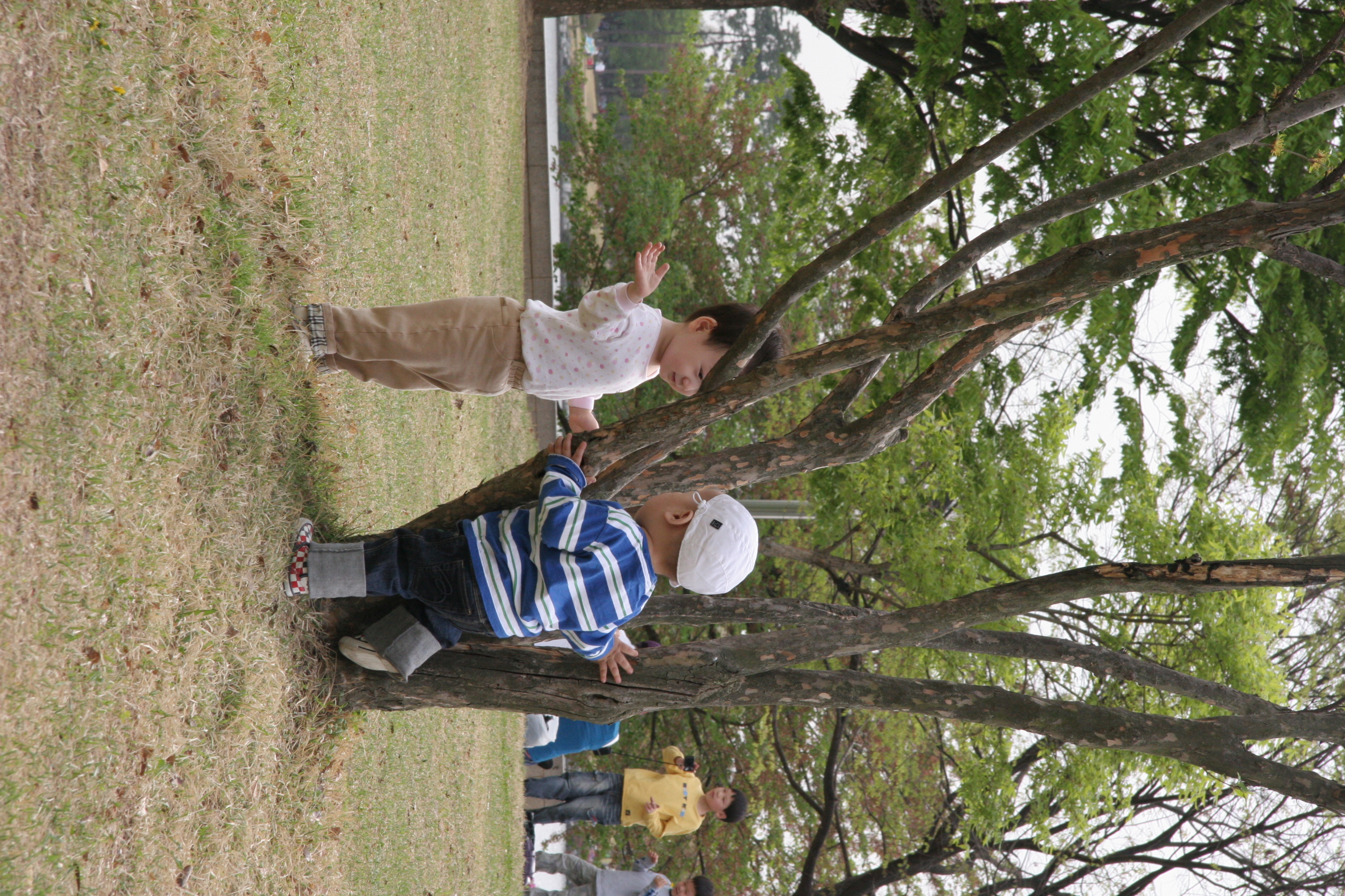IMG_8500.JPG