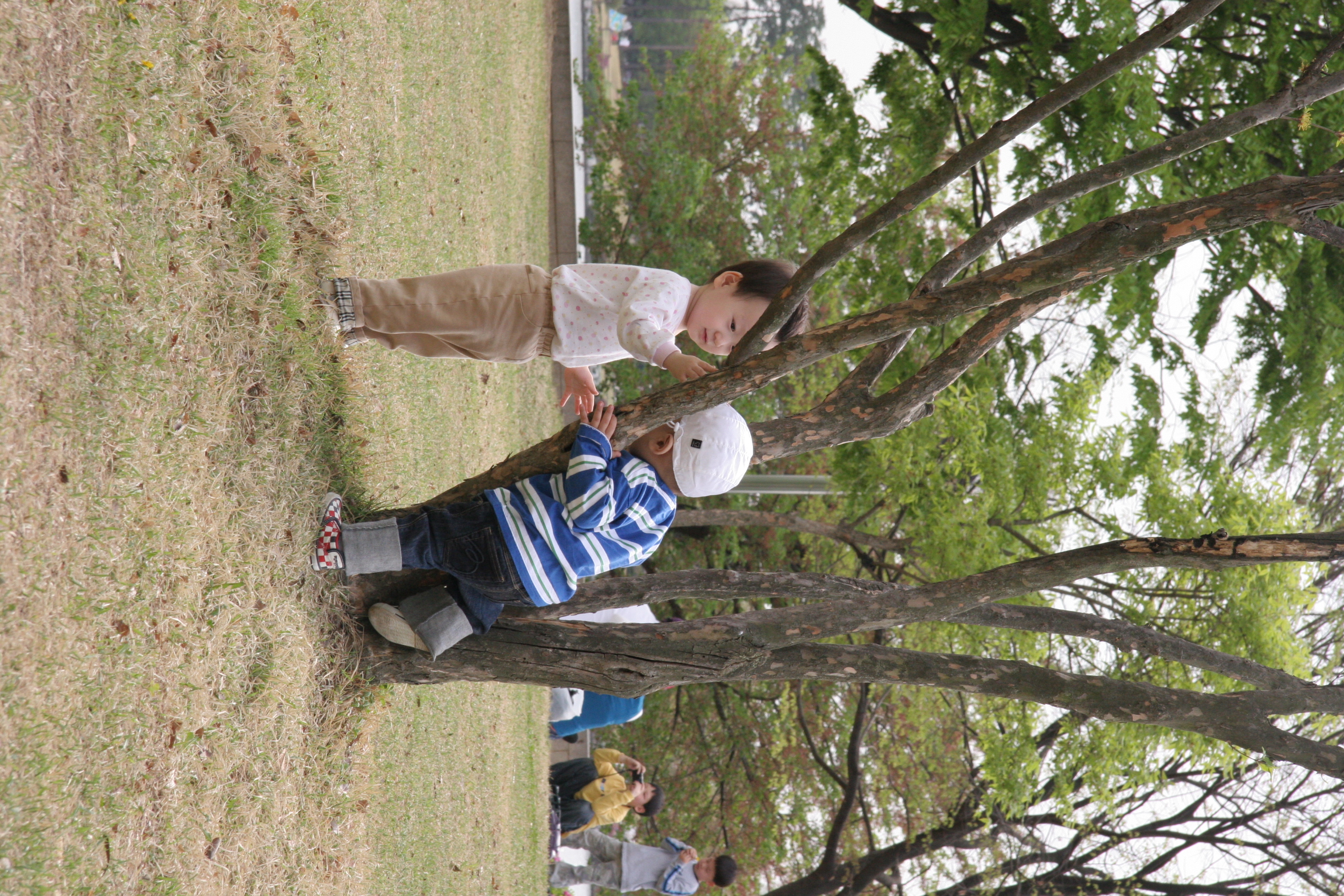 IMG_8501.JPG