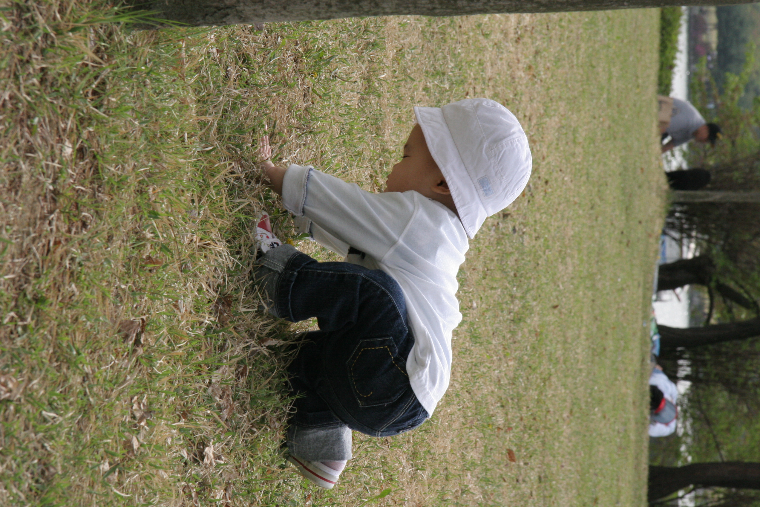 IMG_8515.JPG