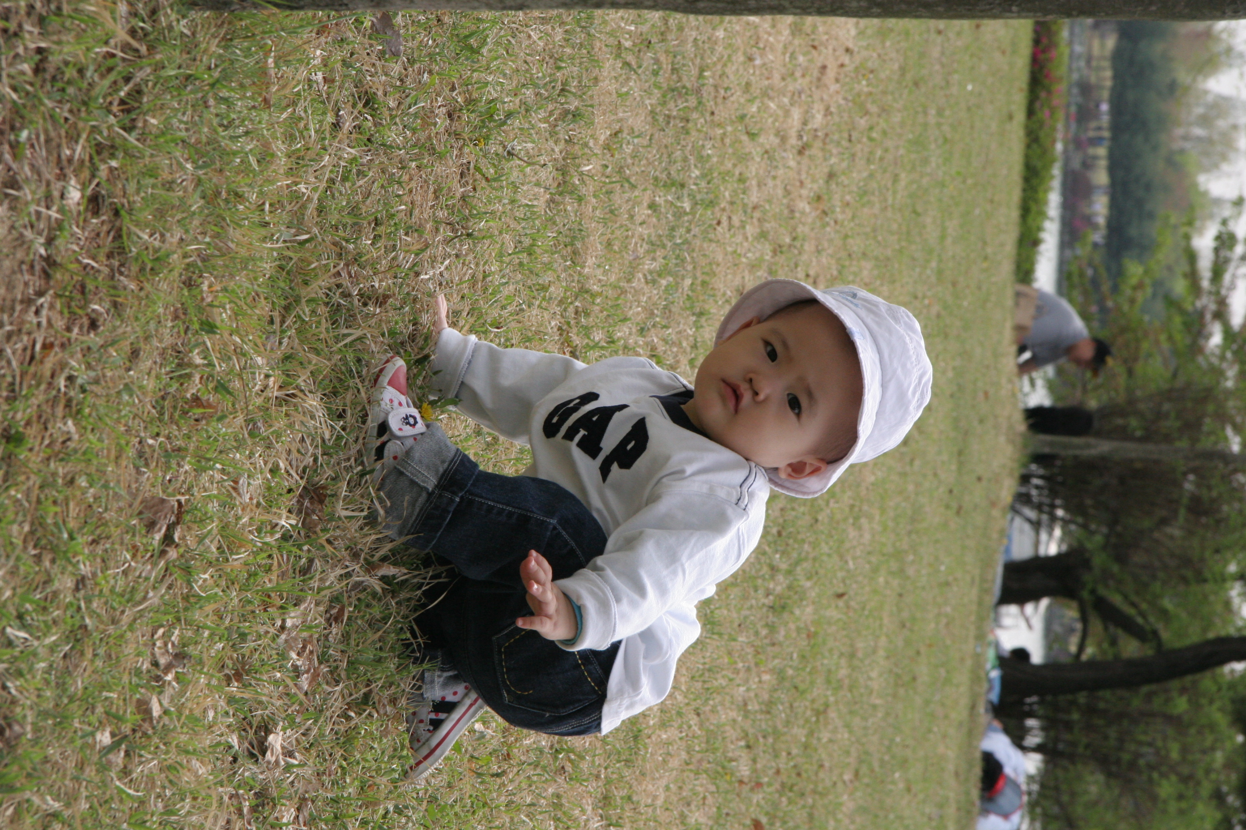 IMG_8517.JPG