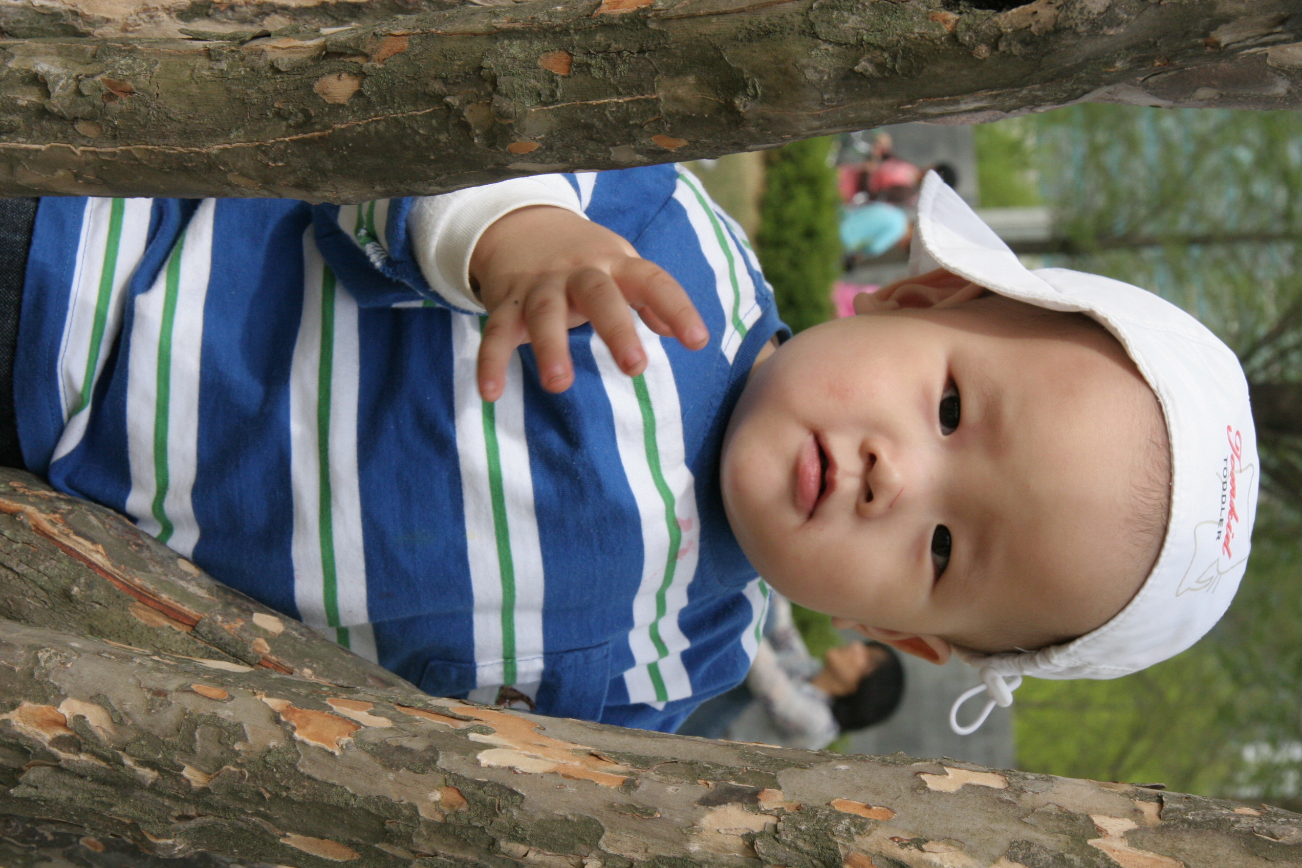 IMG_8525.JPG