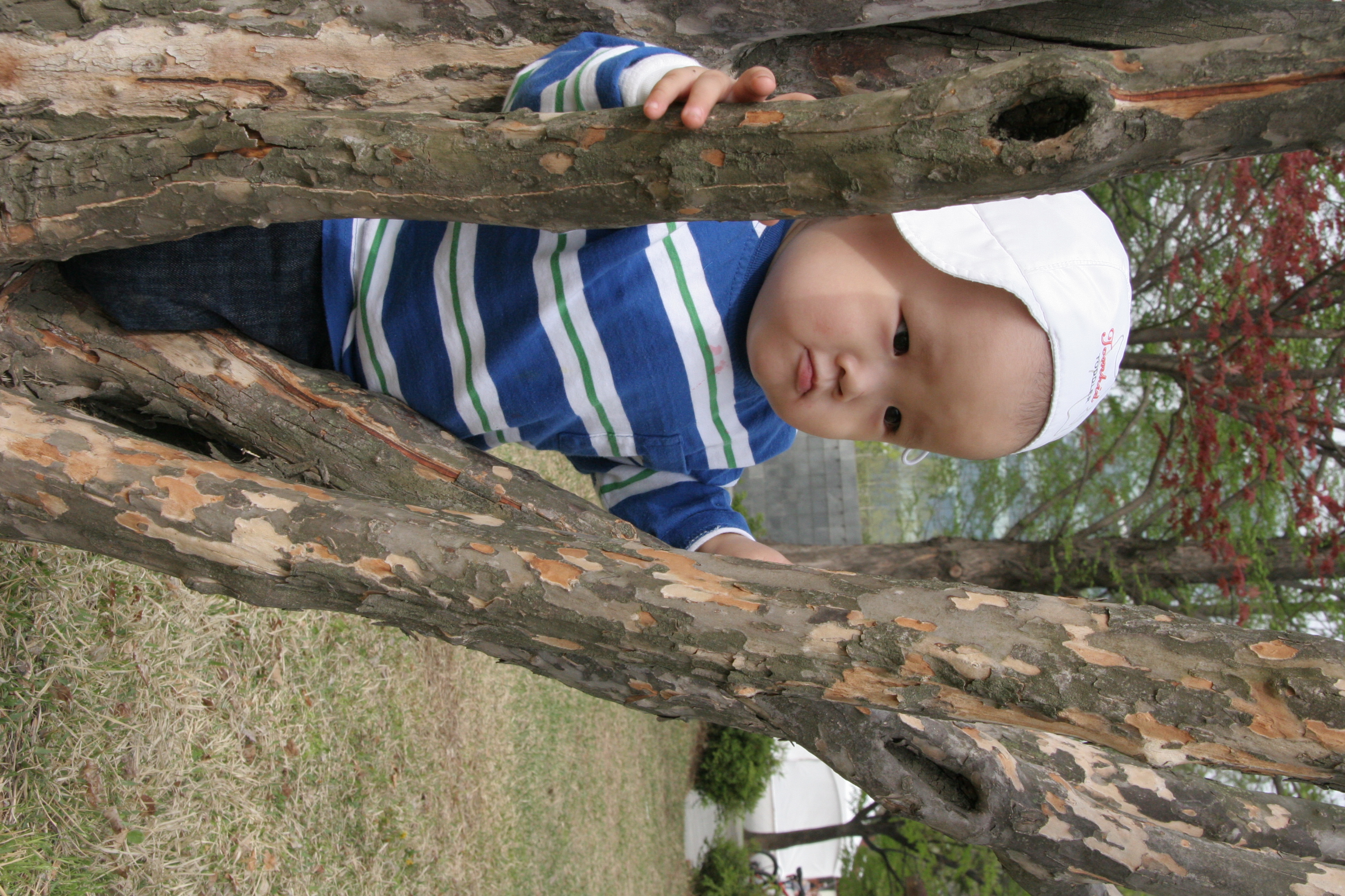 IMG_8526.JPG