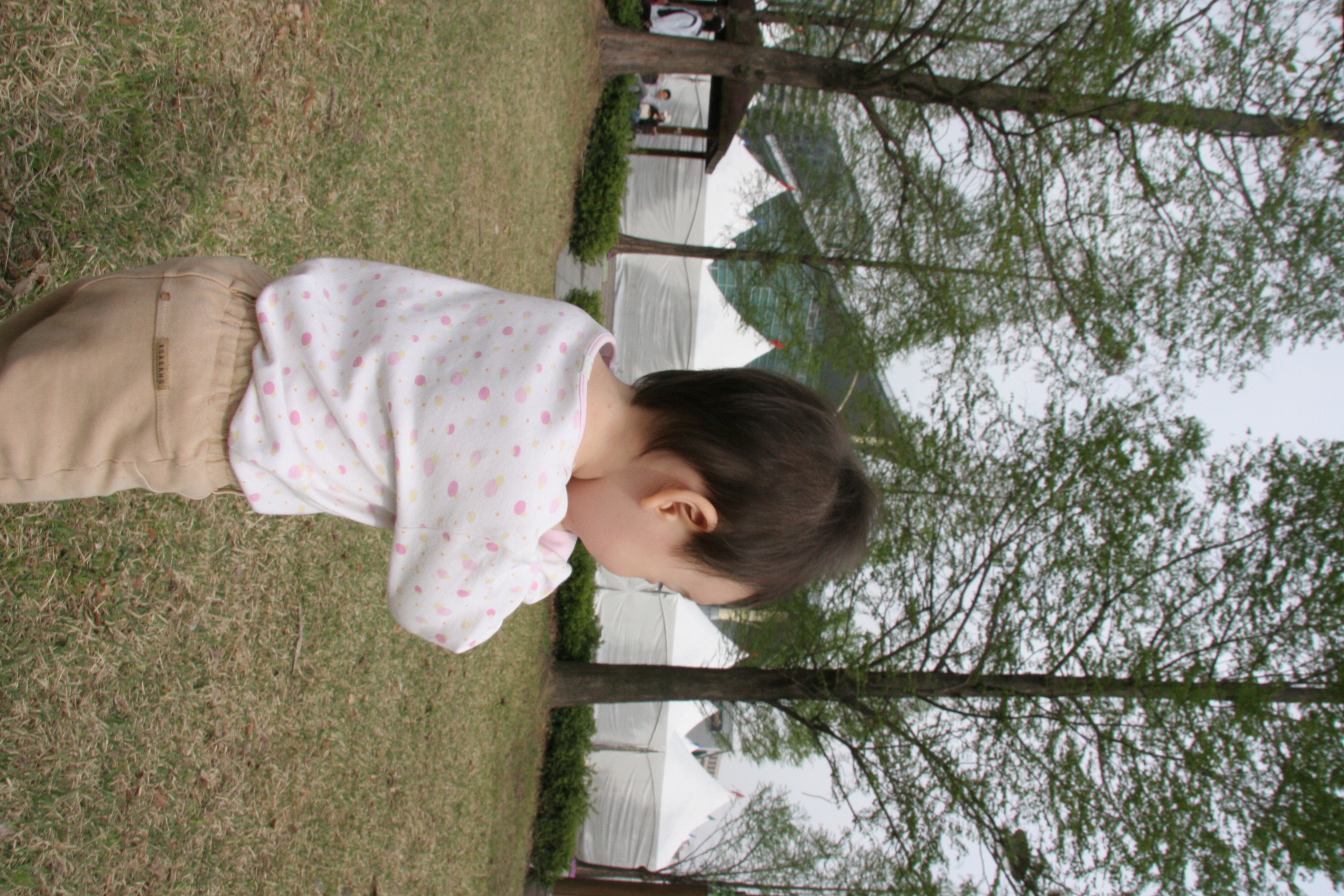 IMG_8530.JPG