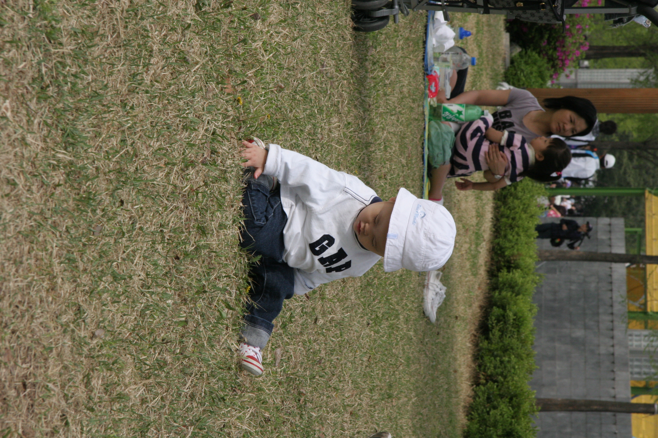 IMG_8535.JPG