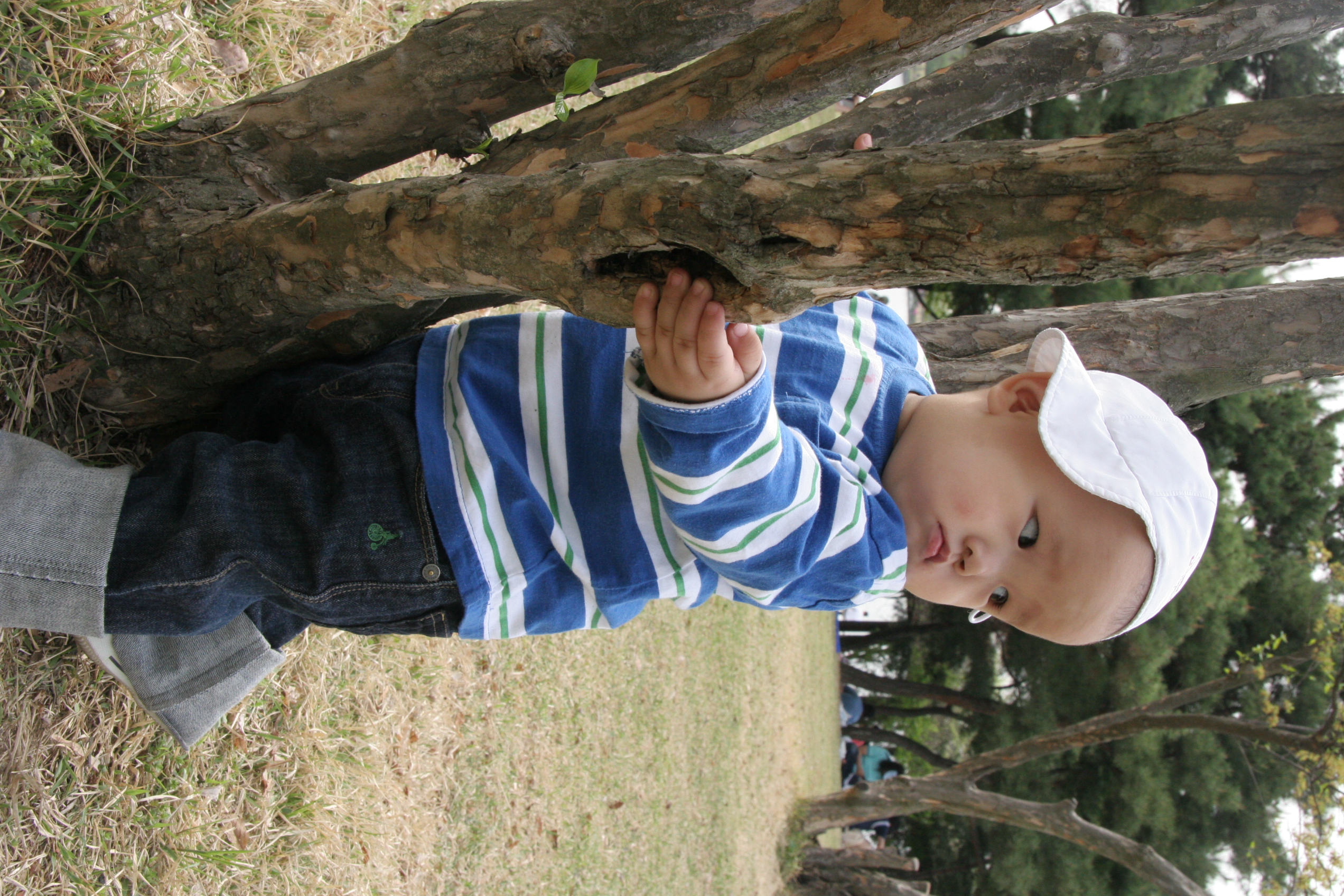 IMG_8536.JPG
