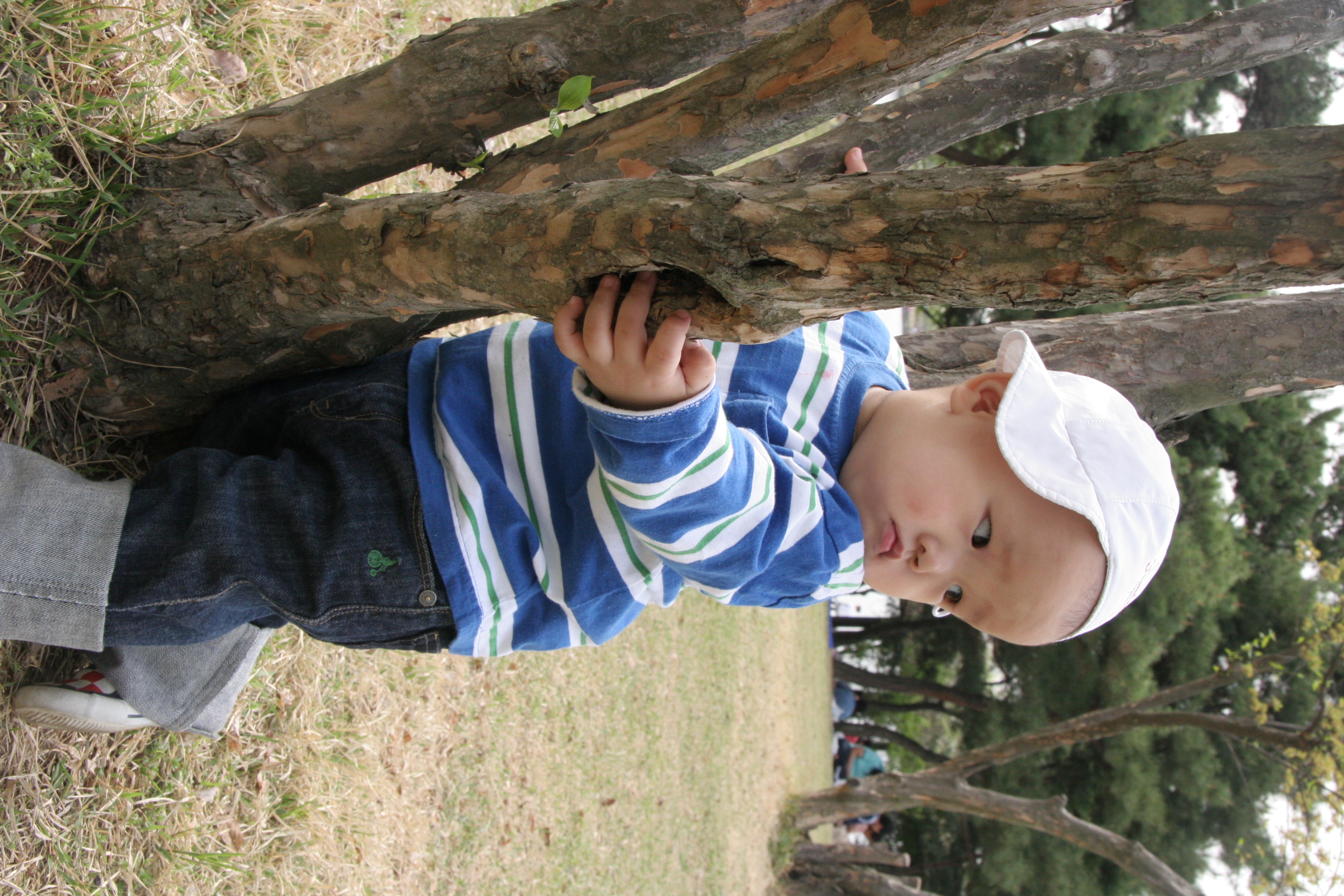 IMG_8537.JPG