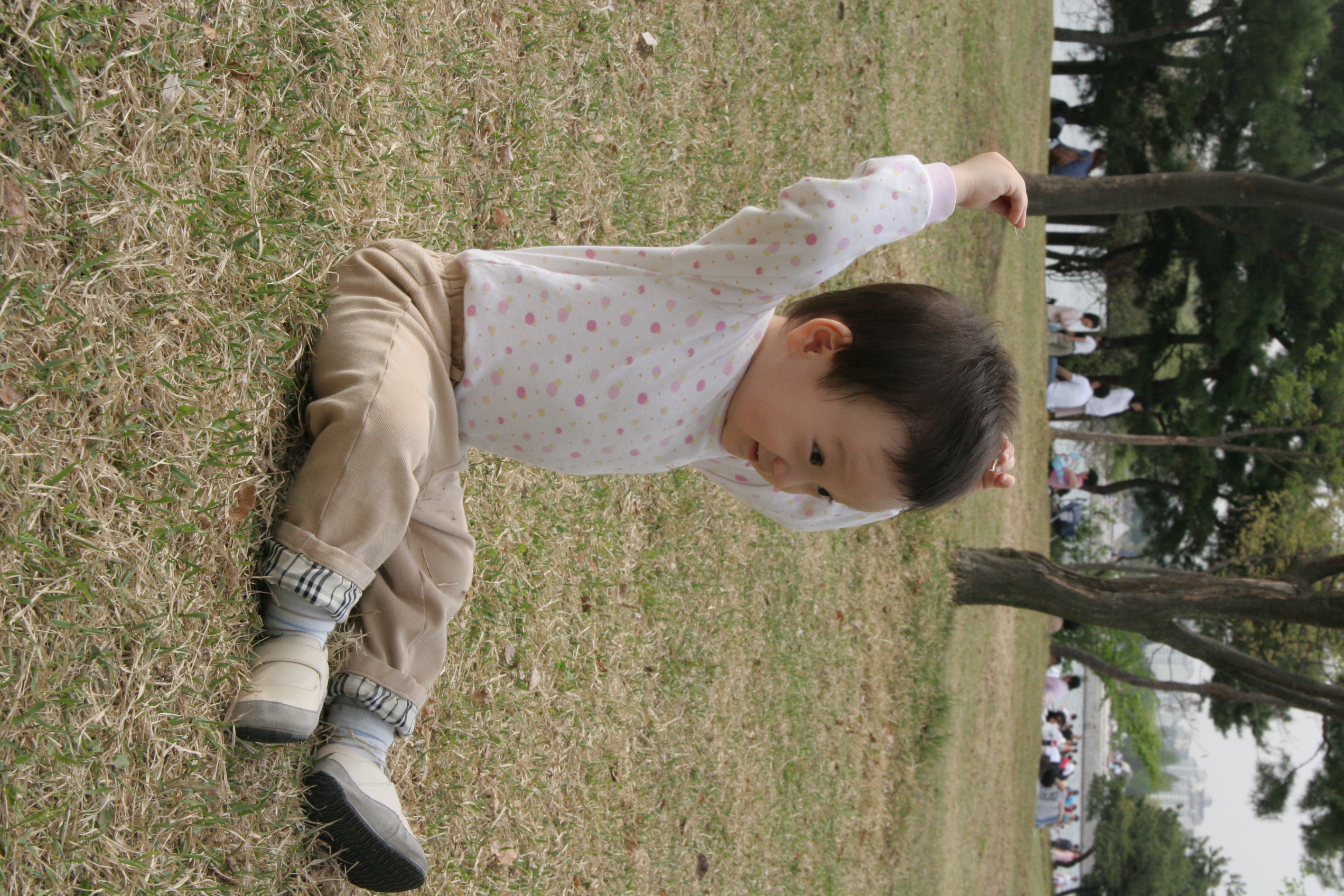 IMG_8539.JPG