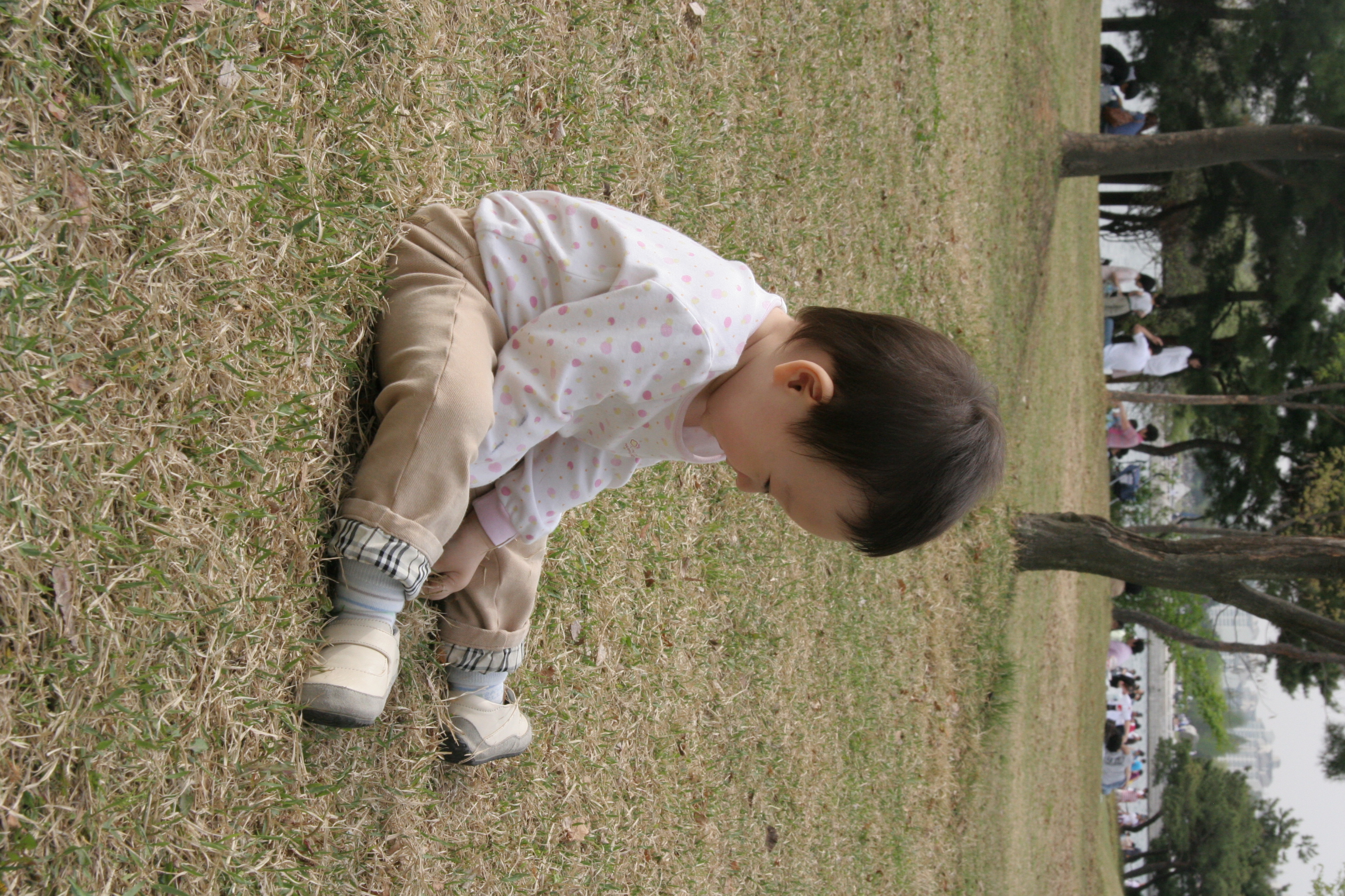 IMG_8541.JPG