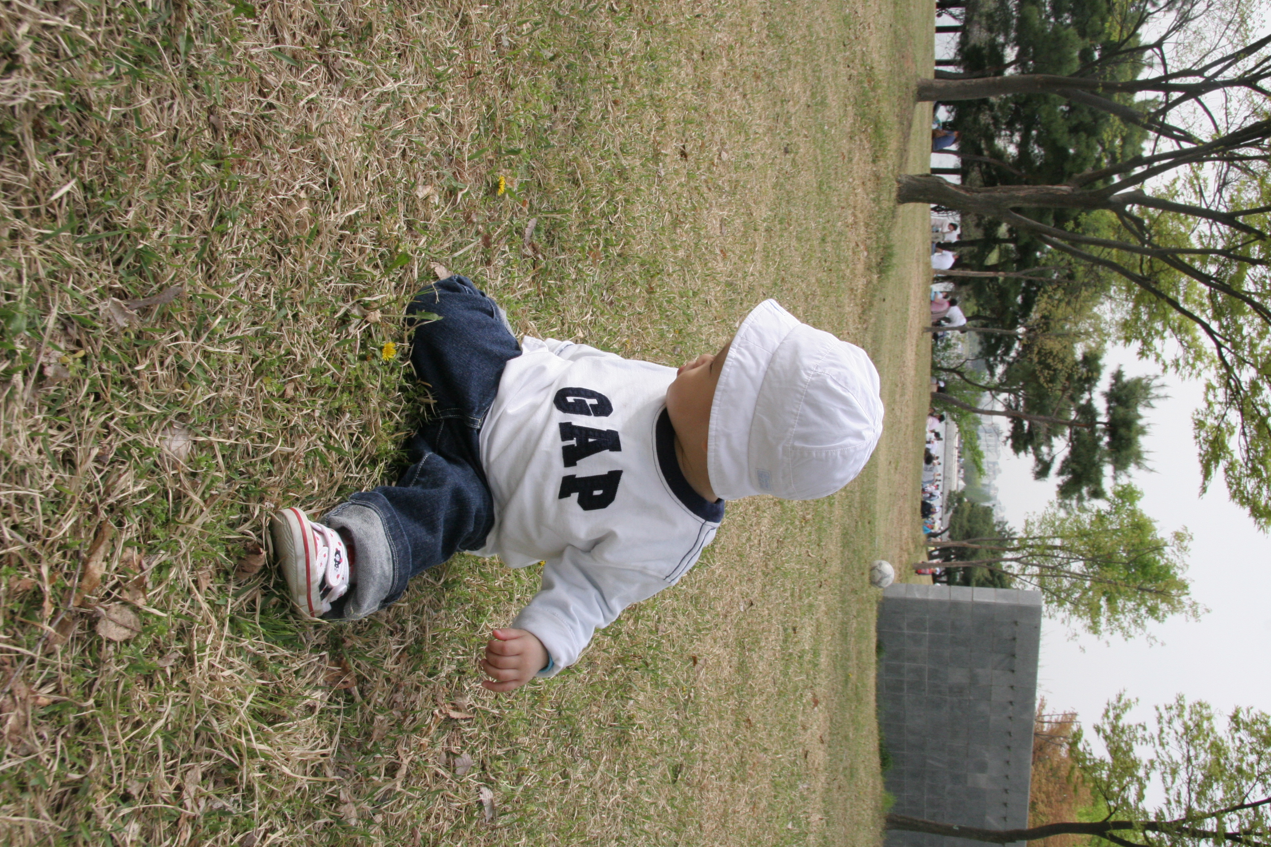 IMG_8543.JPG