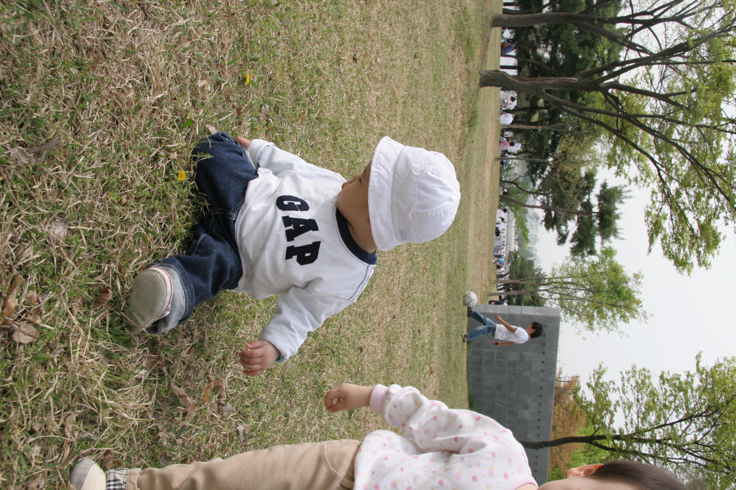 IMG_8545.JPG