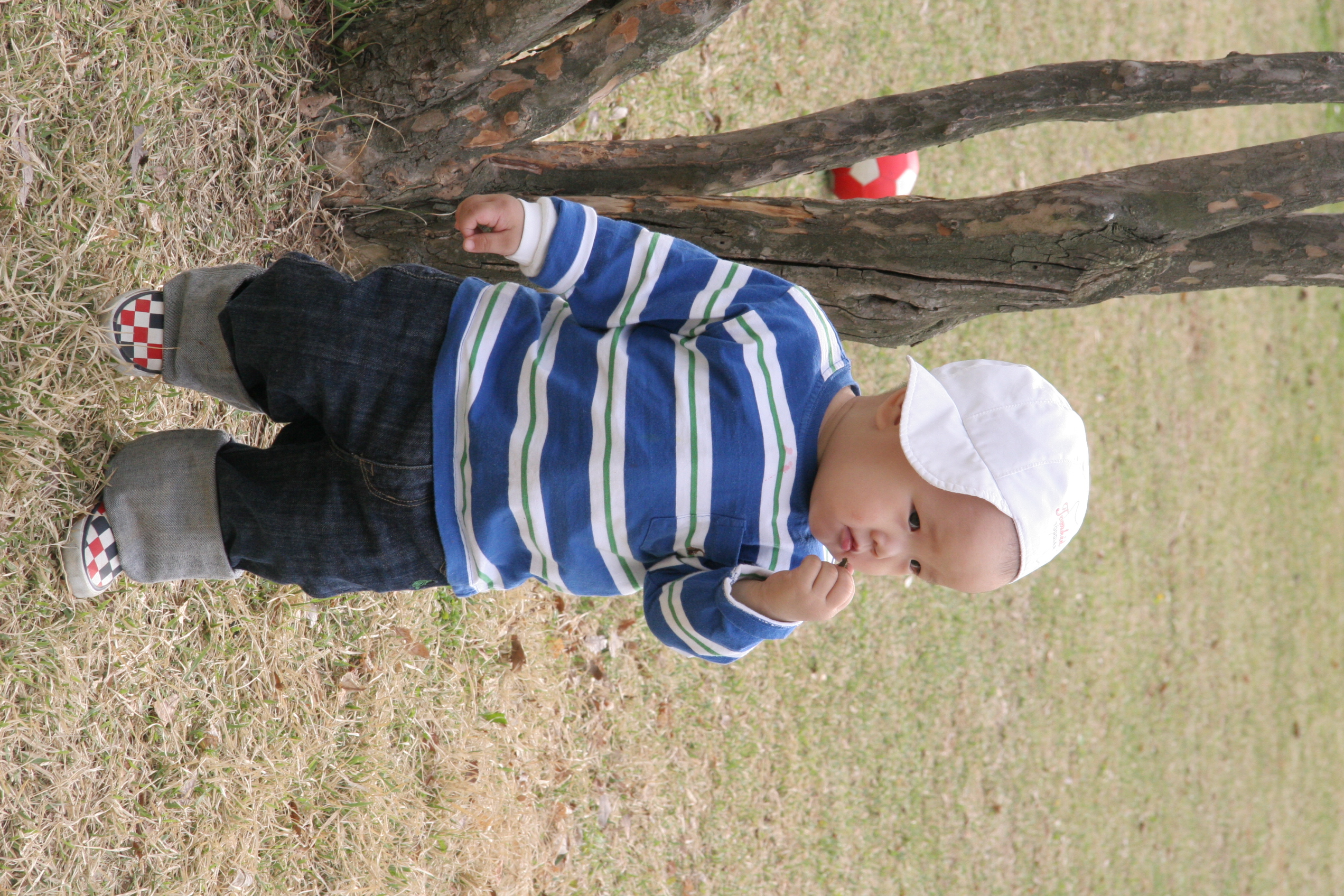 IMG_8551.JPG