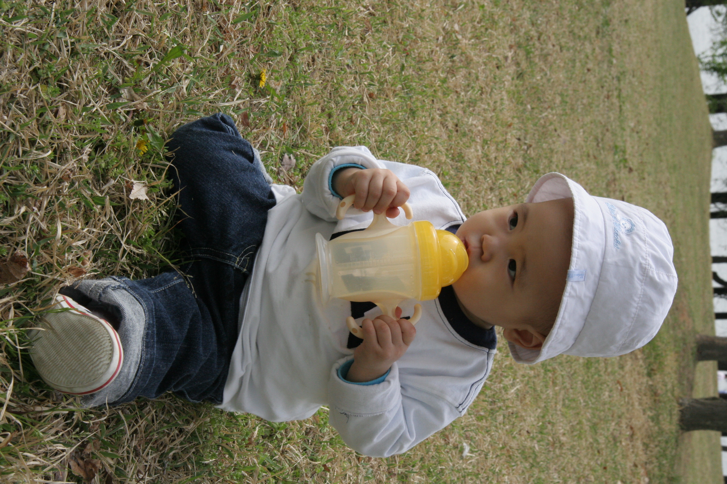 IMG_8560.JPG