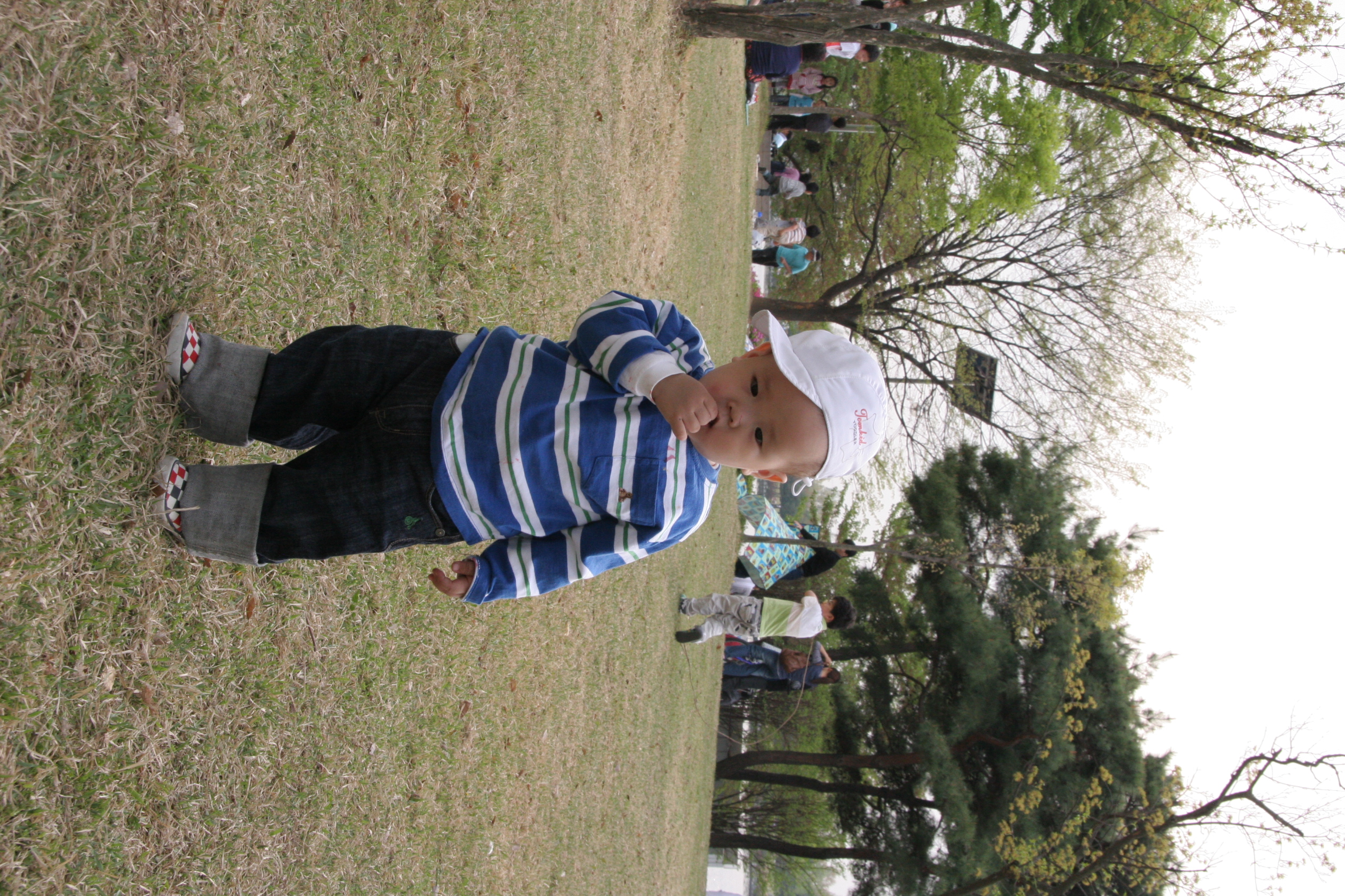 IMG_8591.JPG