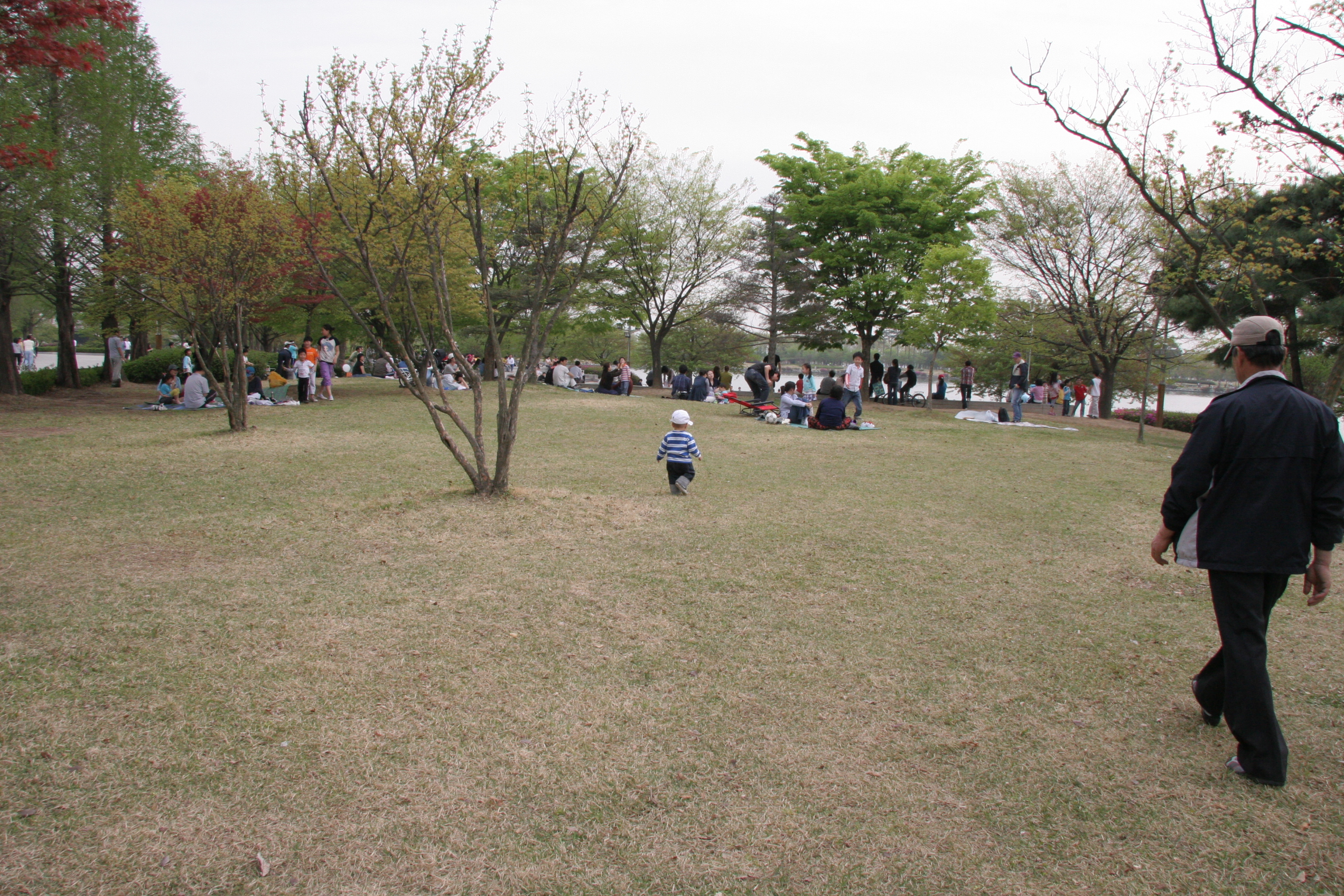 IMG_8610.JPG