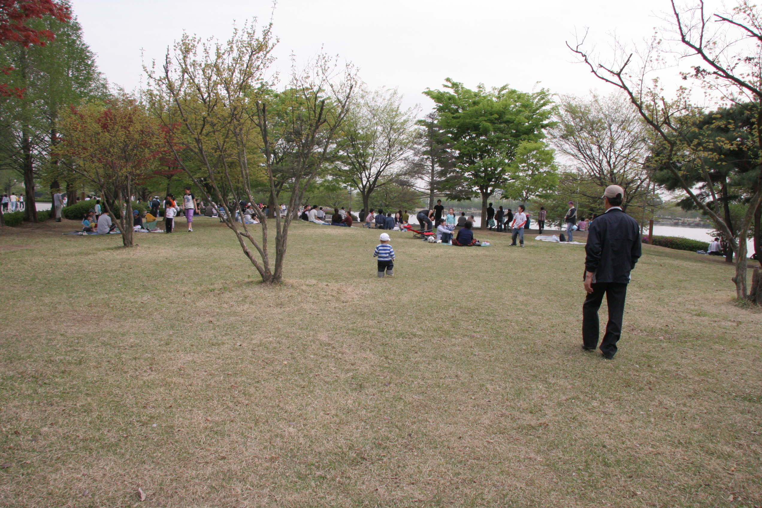 IMG_8611.JPG