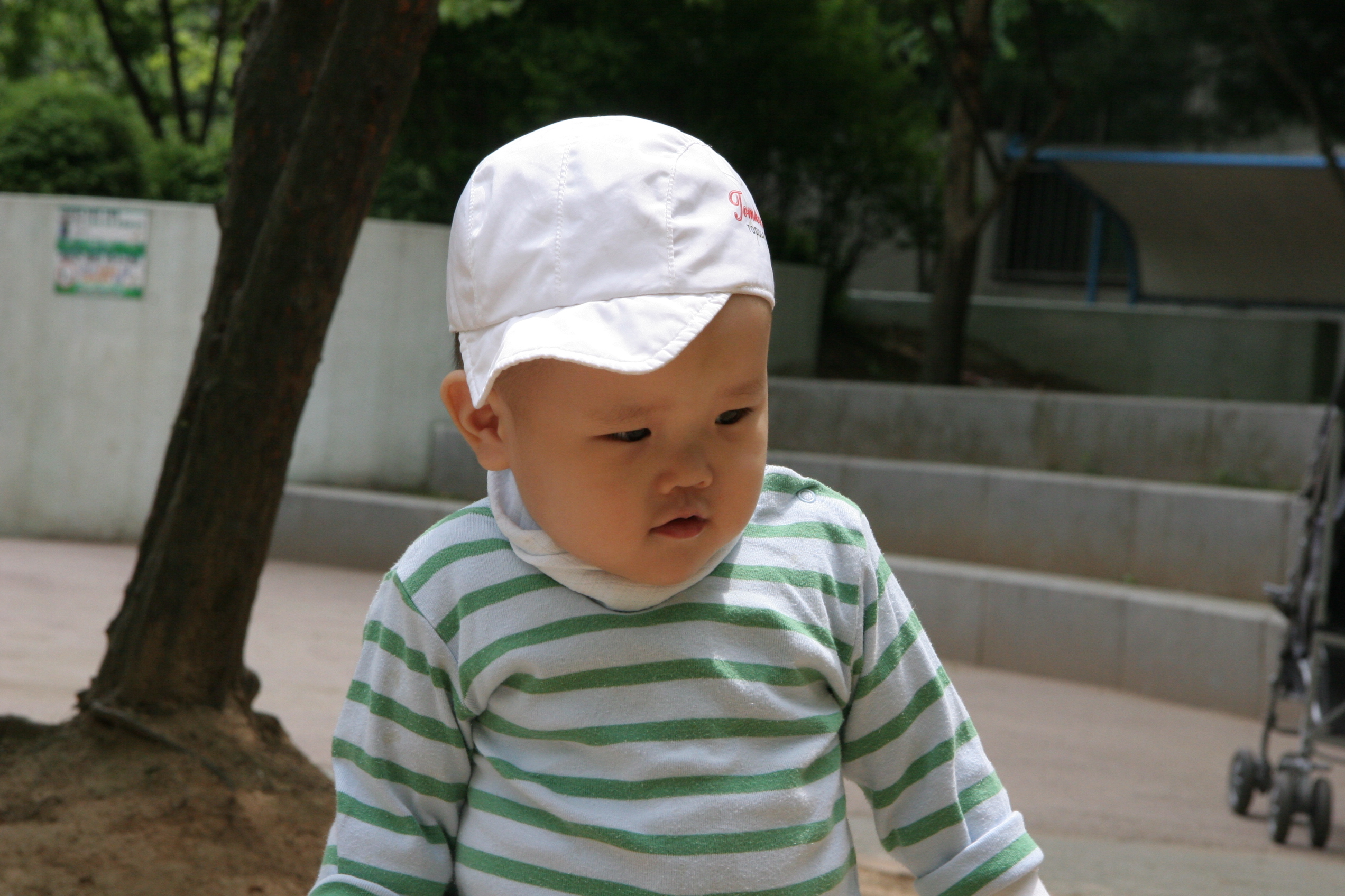 IMG_8711.JPG