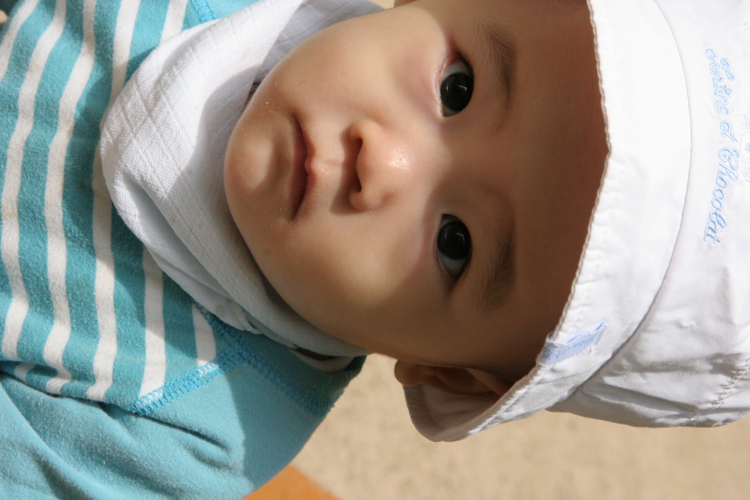 IMG_8745.JPG