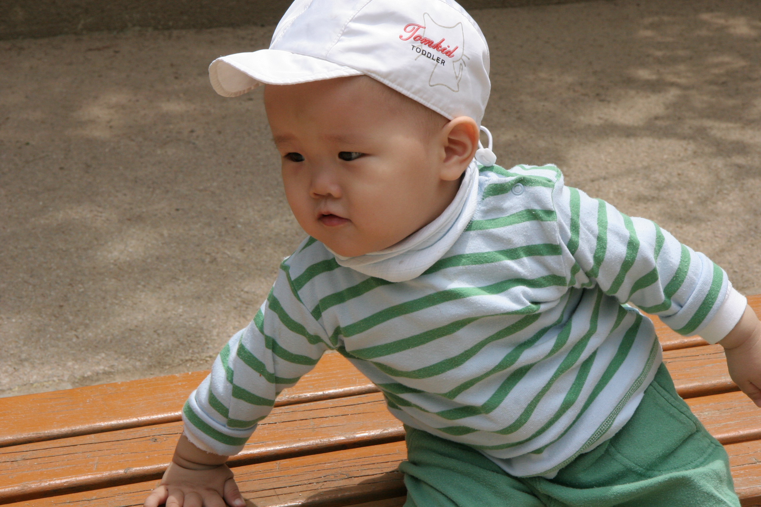 IMG_8764.JPG