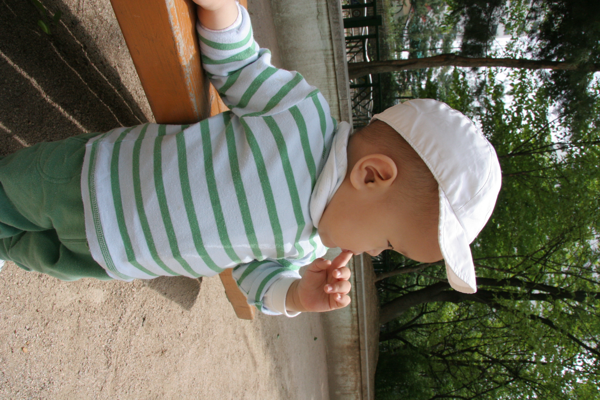 IMG_8769.JPG