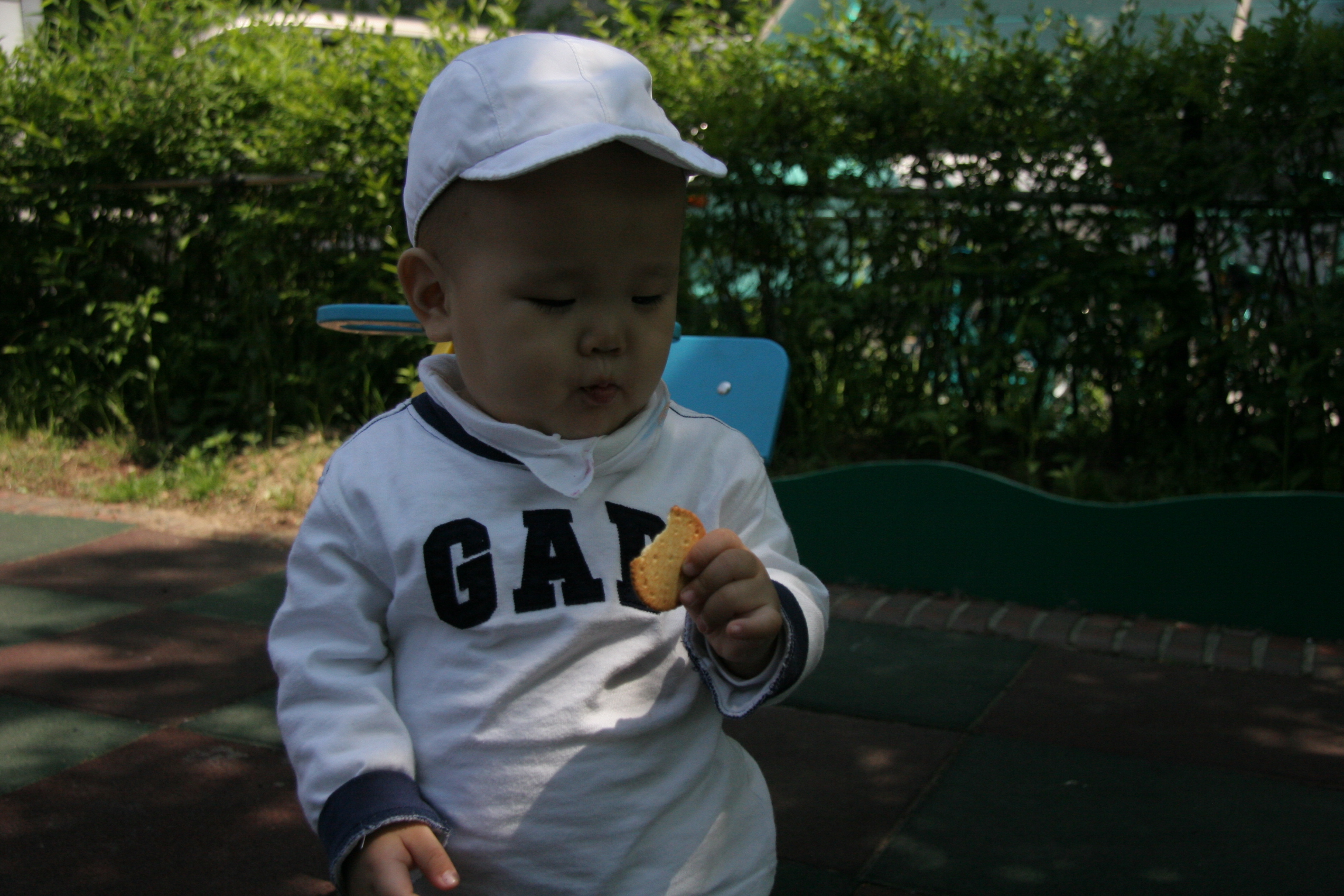IMG_8781.JPG