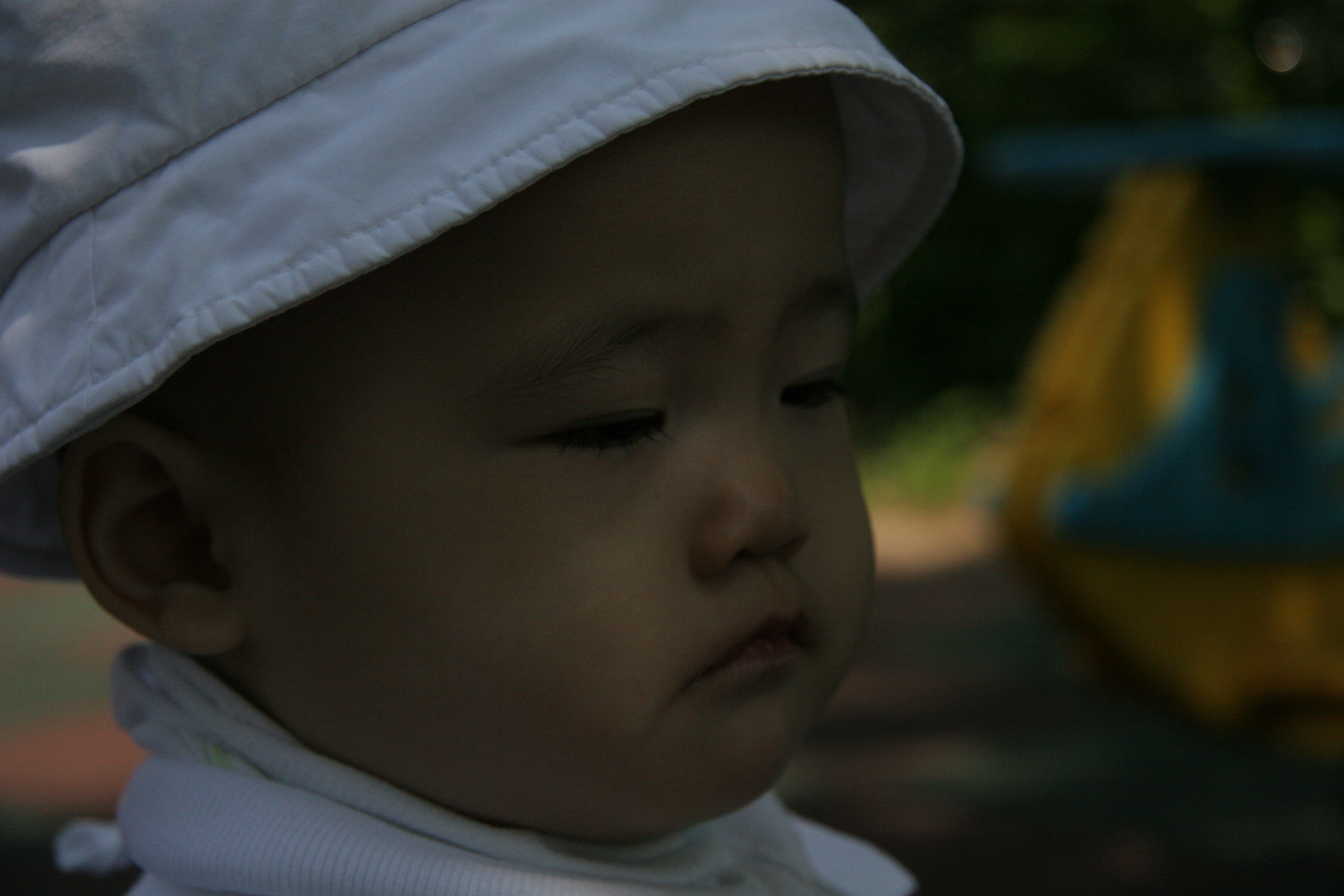 IMG_8782.JPG
