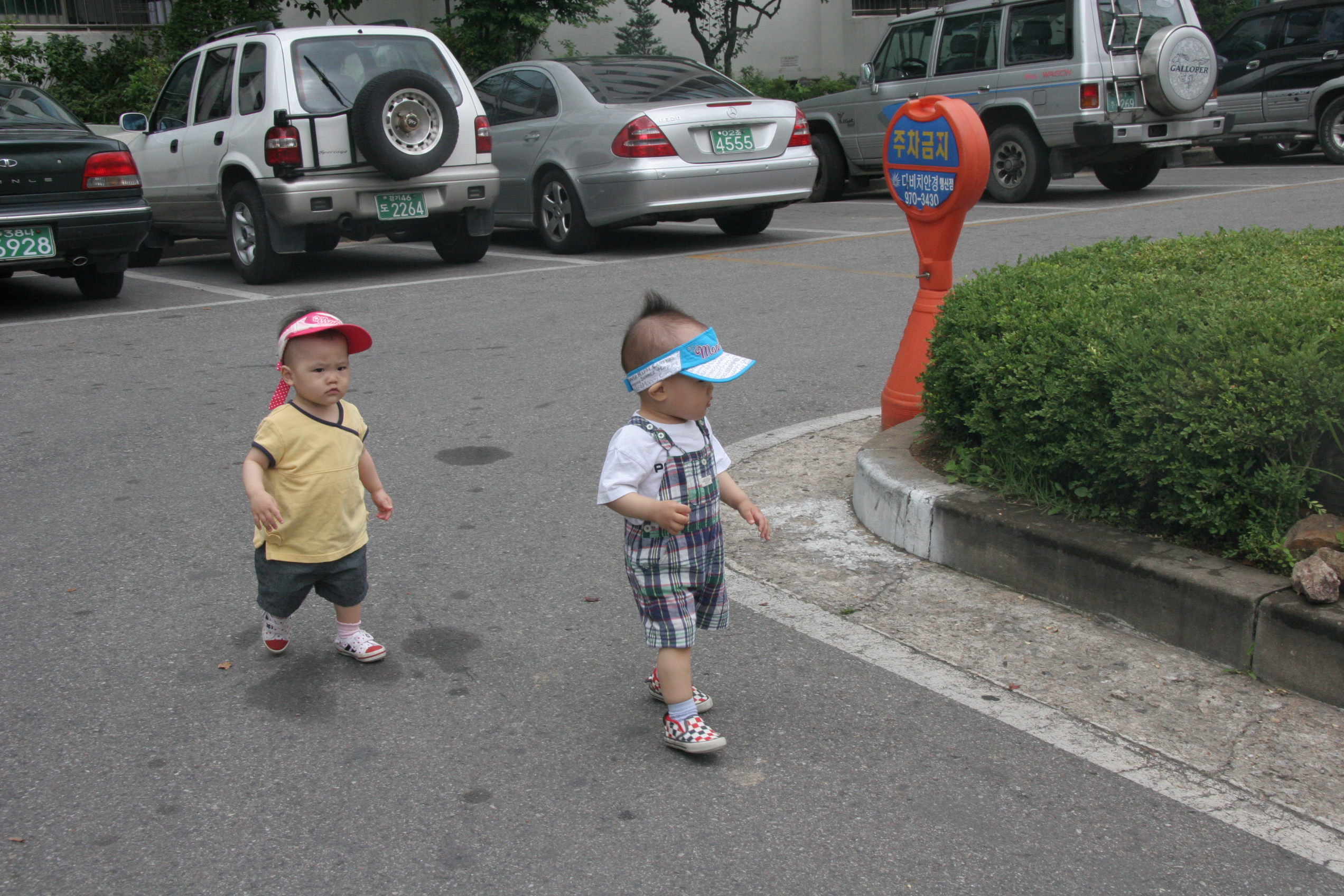 2008-06-22 오후 1-54-53.JPG