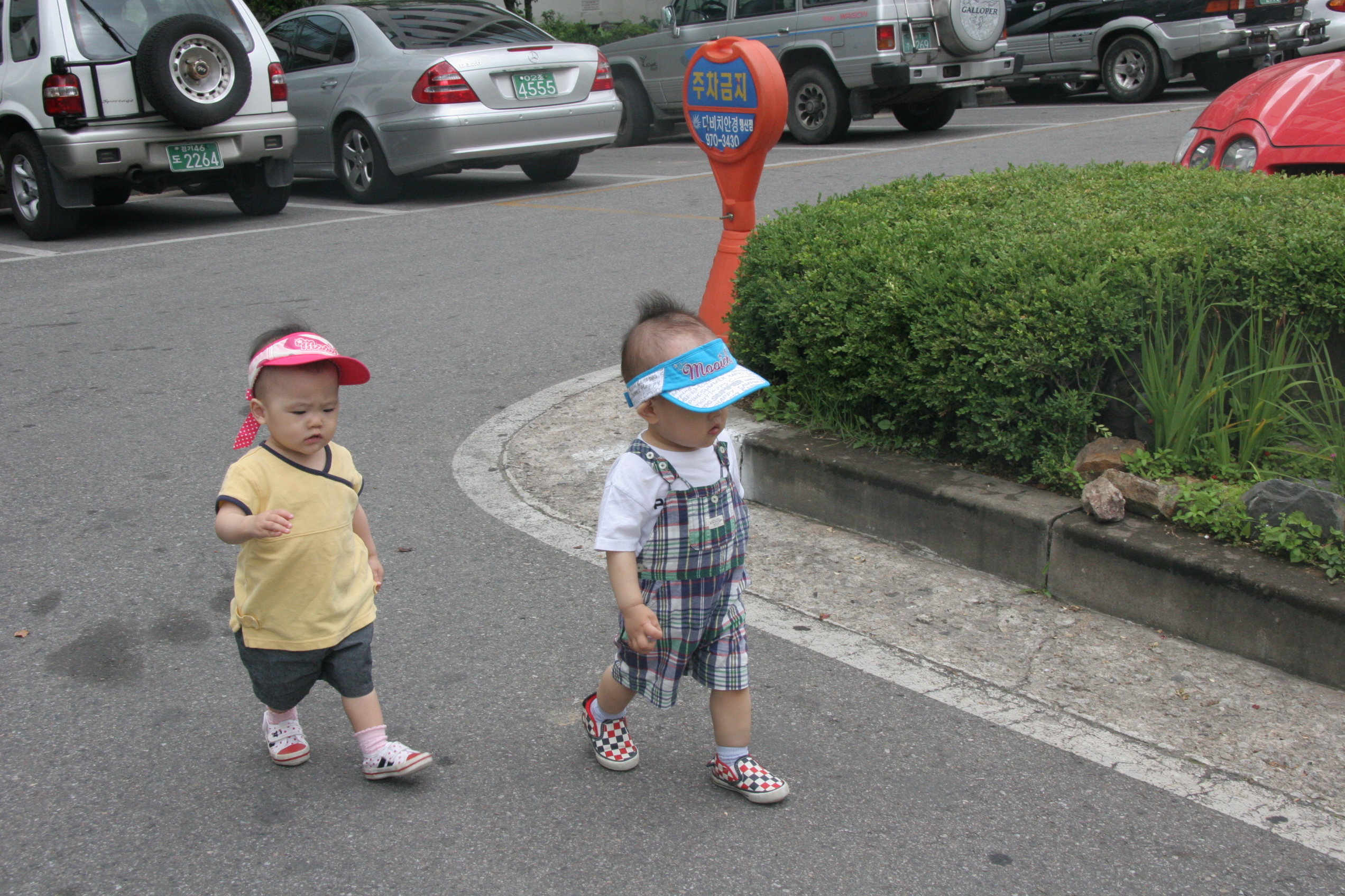 2008-06-22 오후 1-54-54.JPG