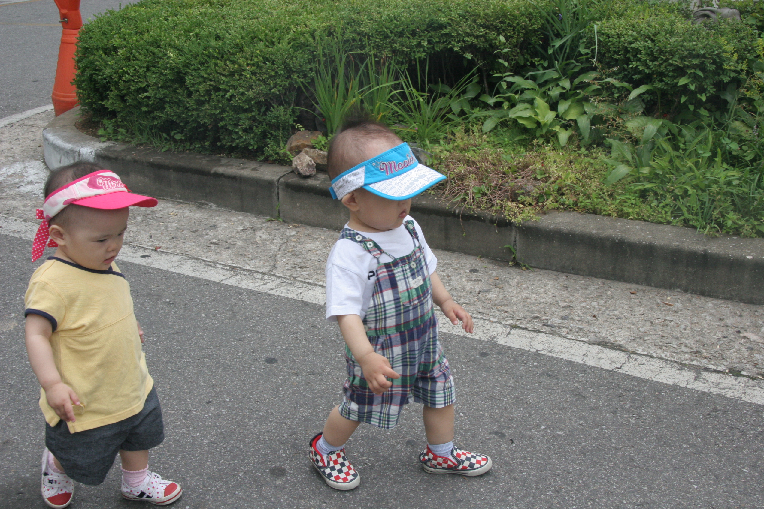 2008-06-22 오후 1-54-55.JPG