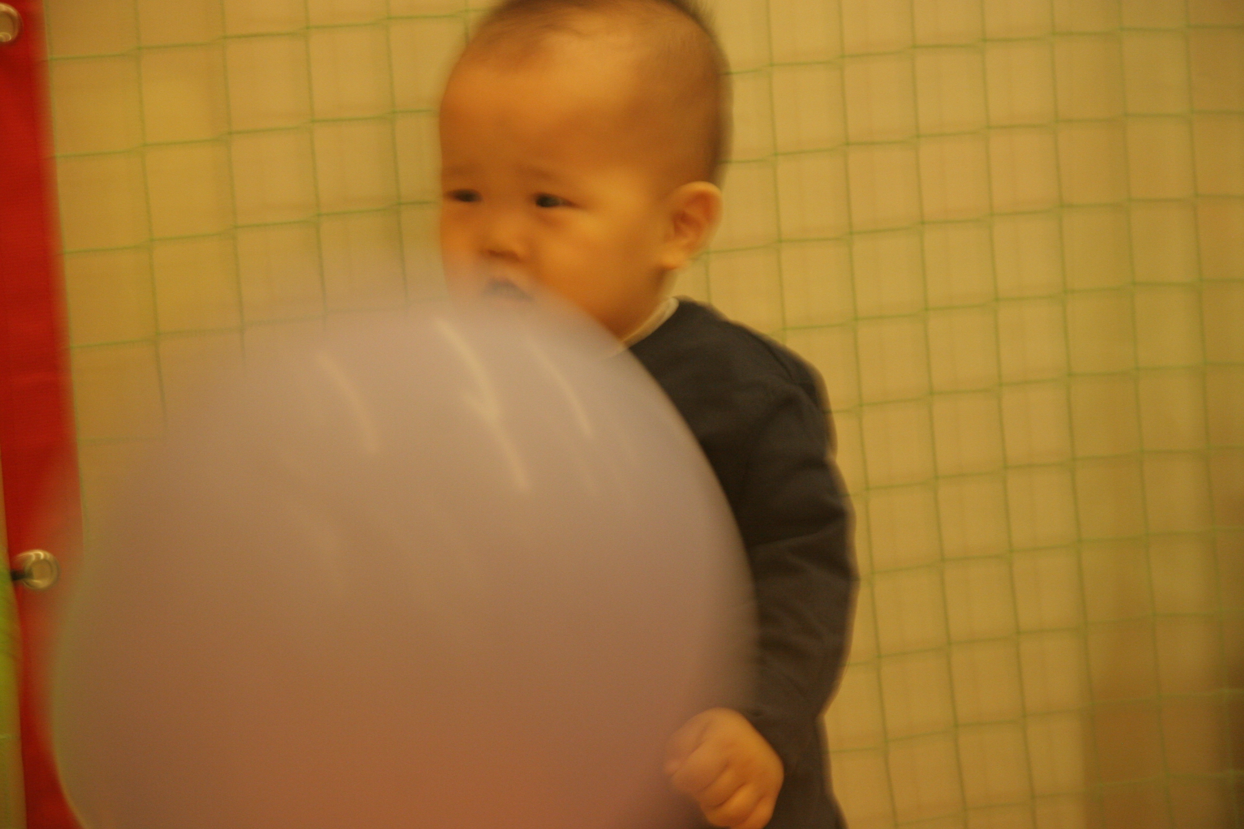 IMG_9155.JPG