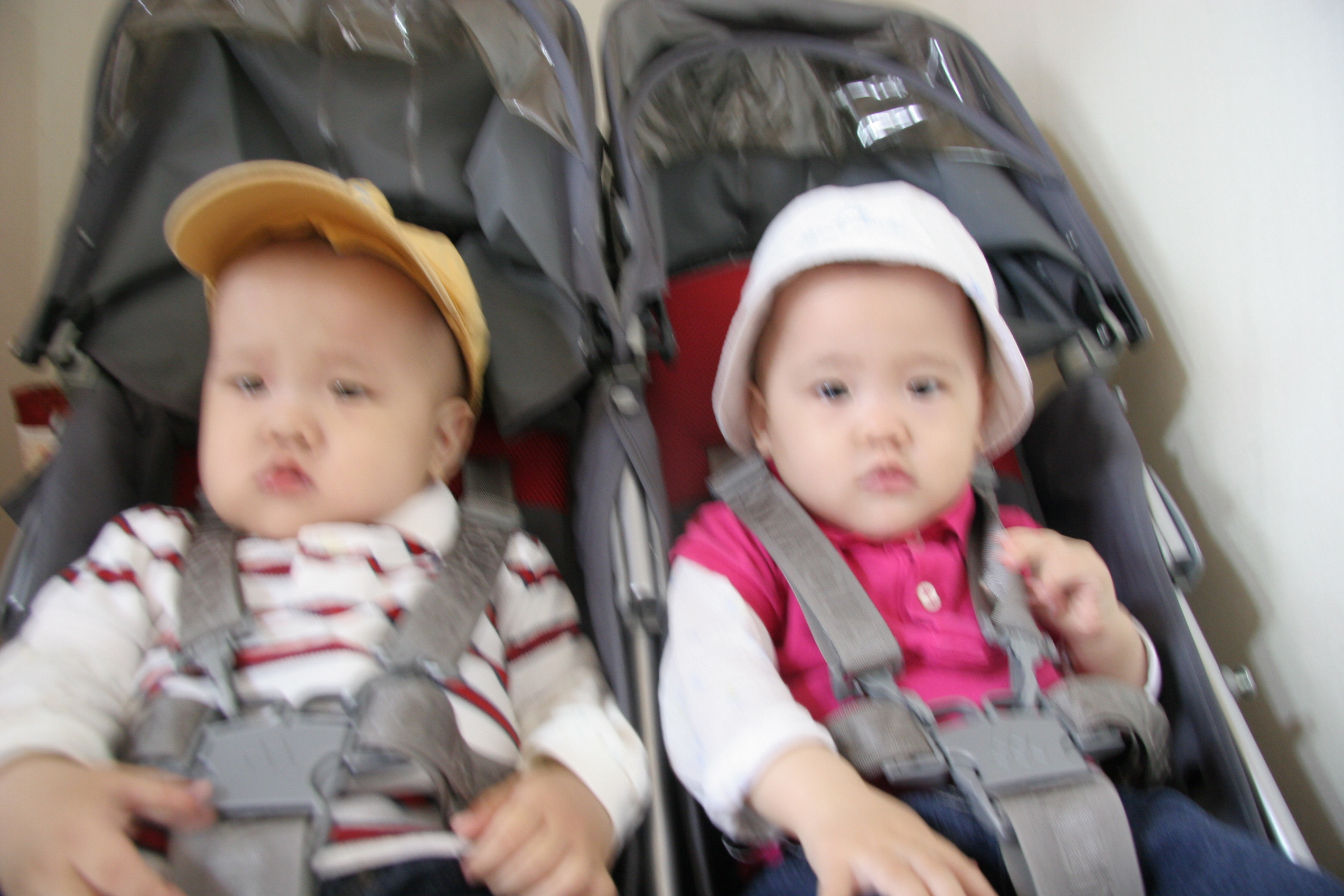 IMG_8852.JPG