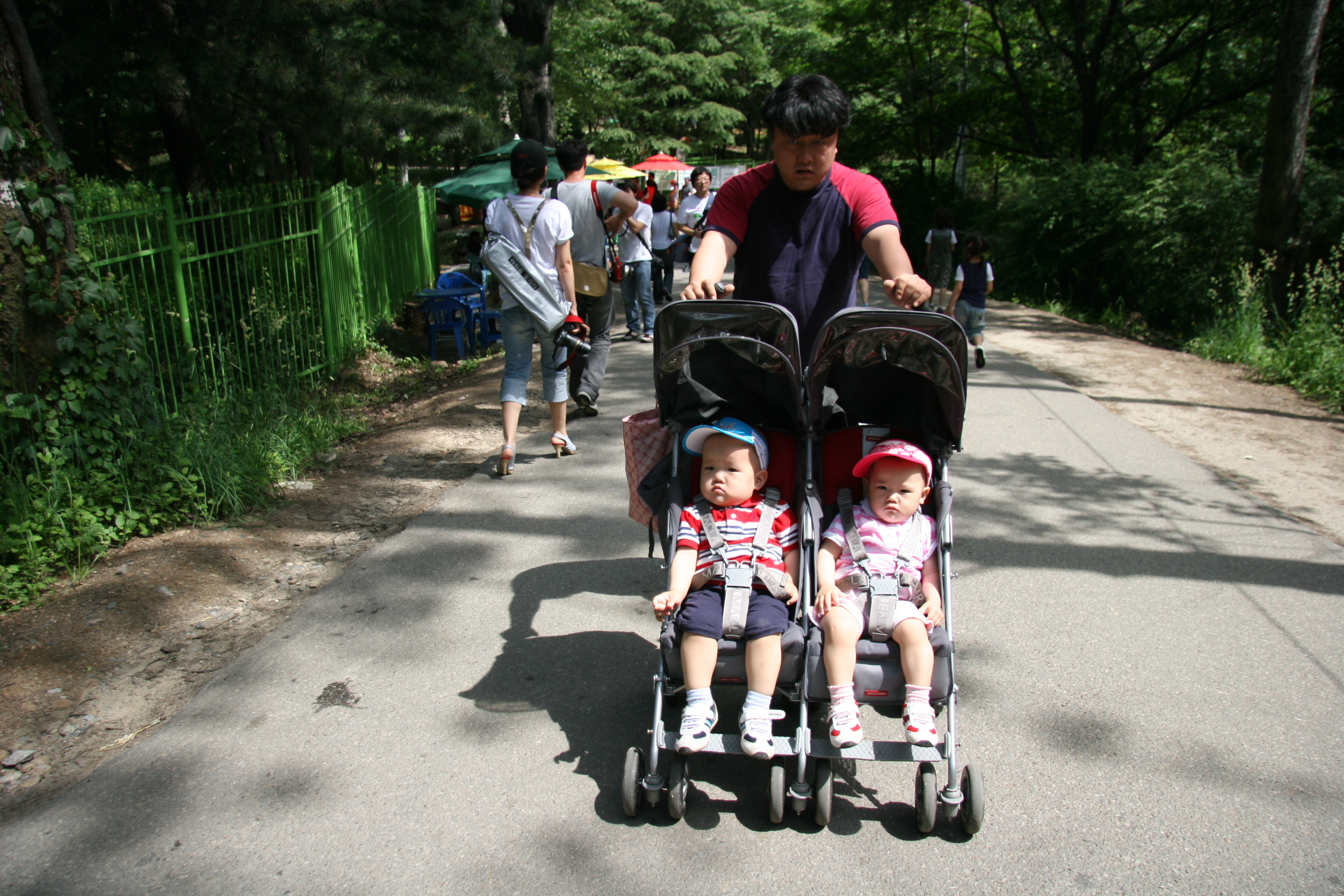 IMG_8854.JPG
