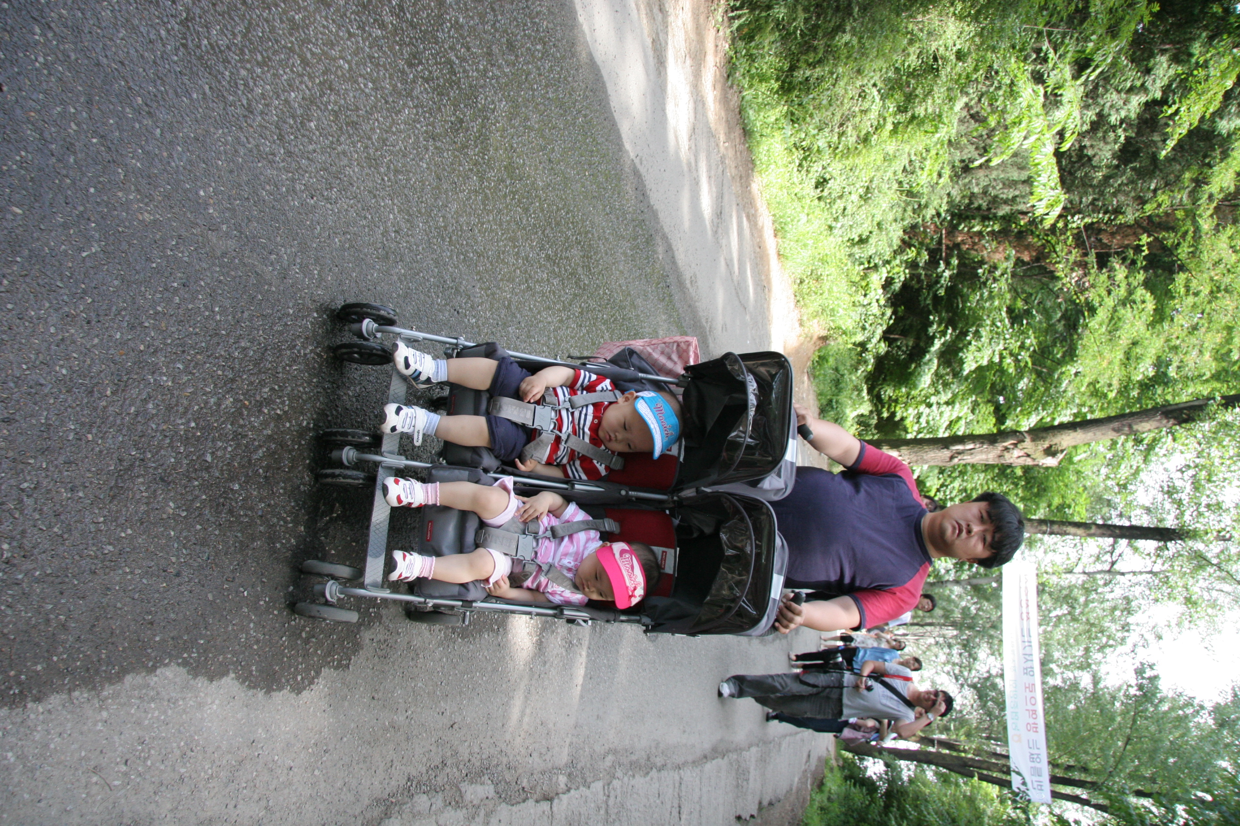 IMG_8864.JPG