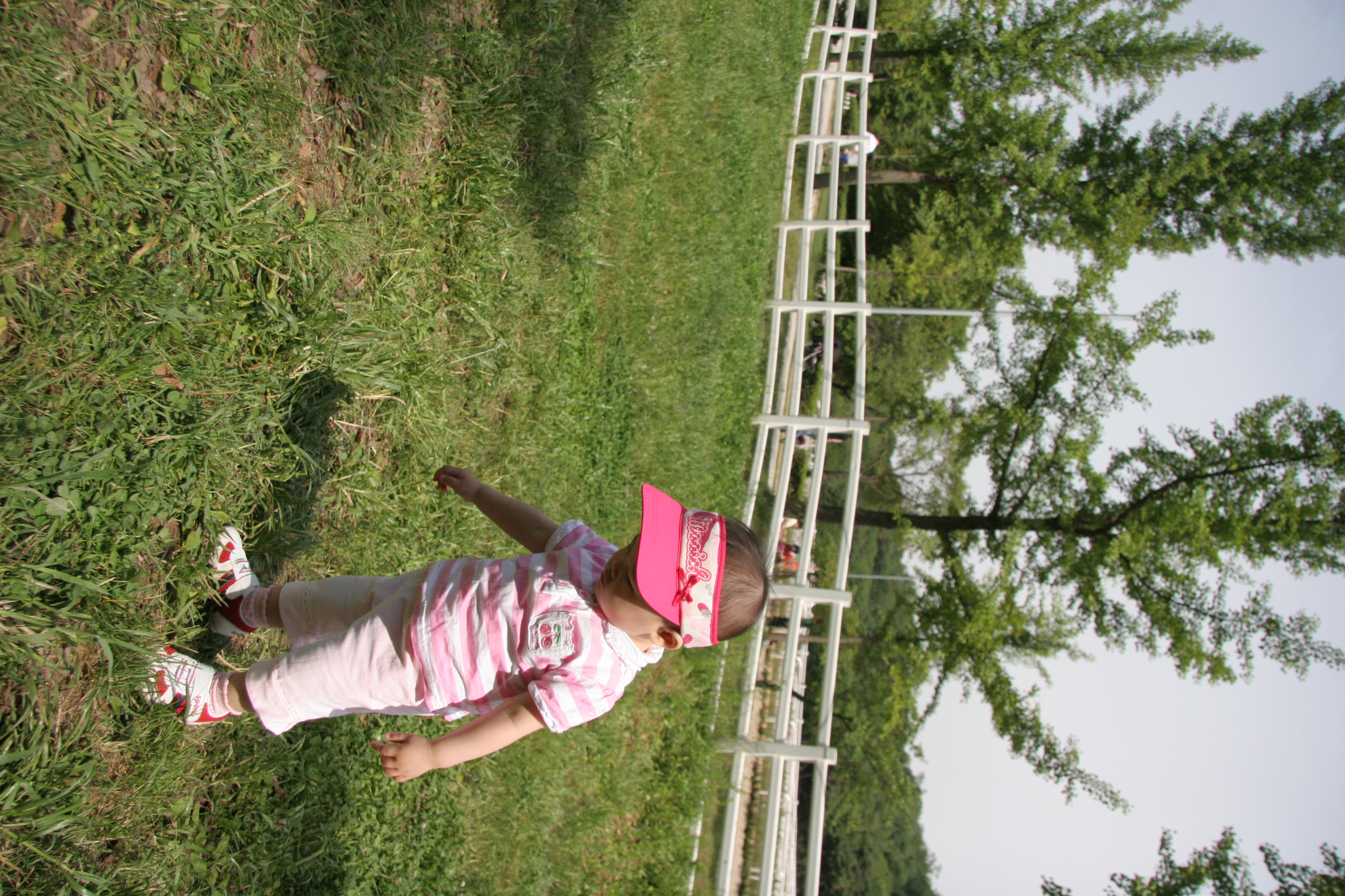 IMG_8868.JPG