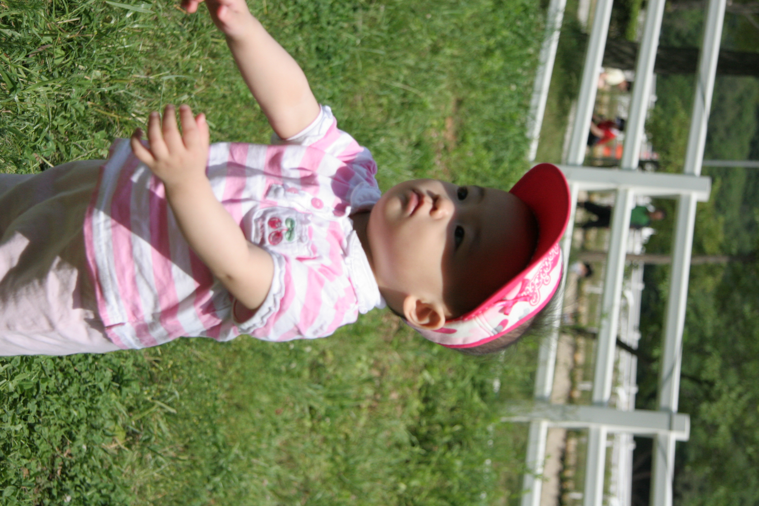 IMG_8869.JPG