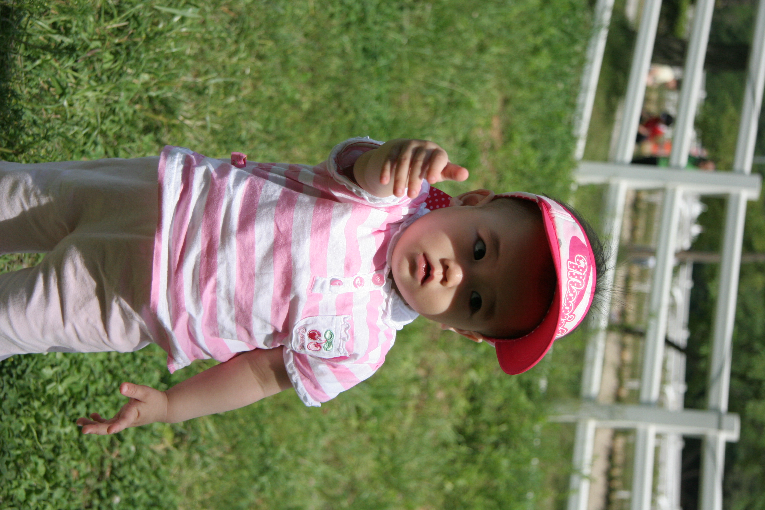 IMG_8870.JPG