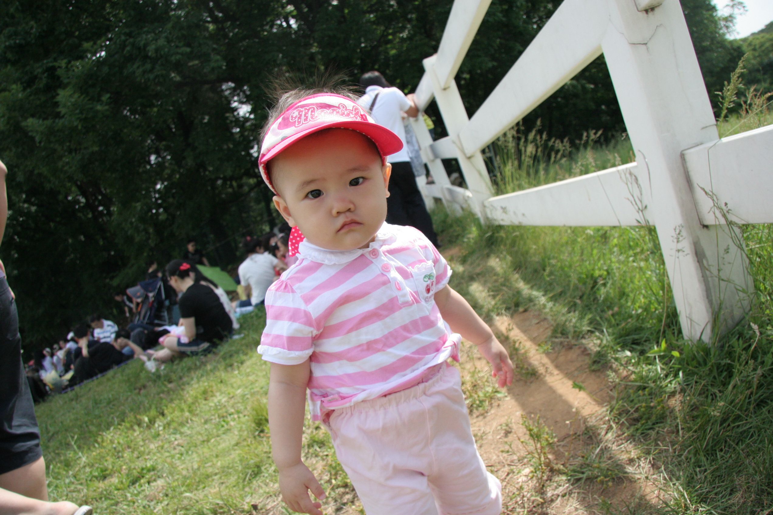 IMG_8884.JPG