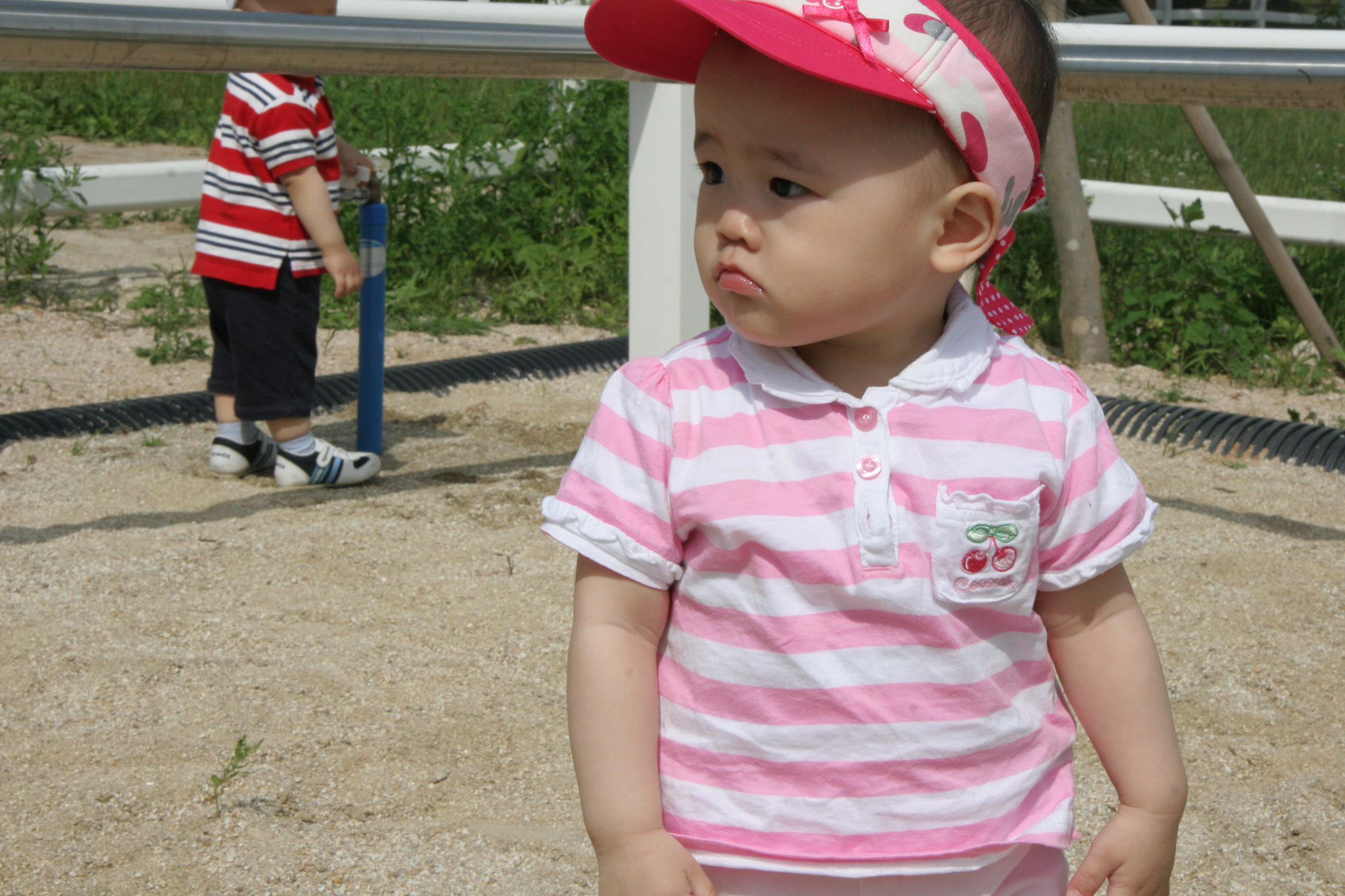 IMG_8942.JPG