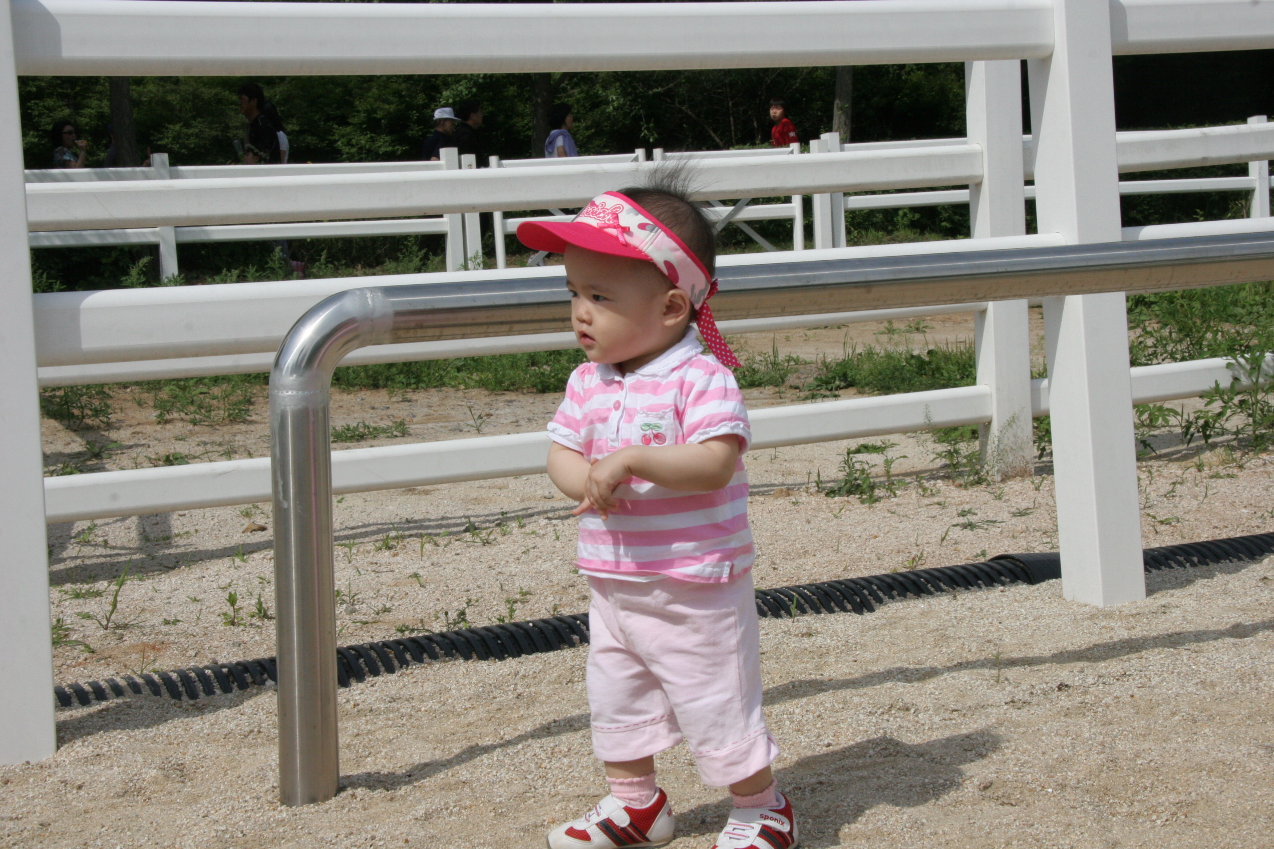 IMG_8946.JPG