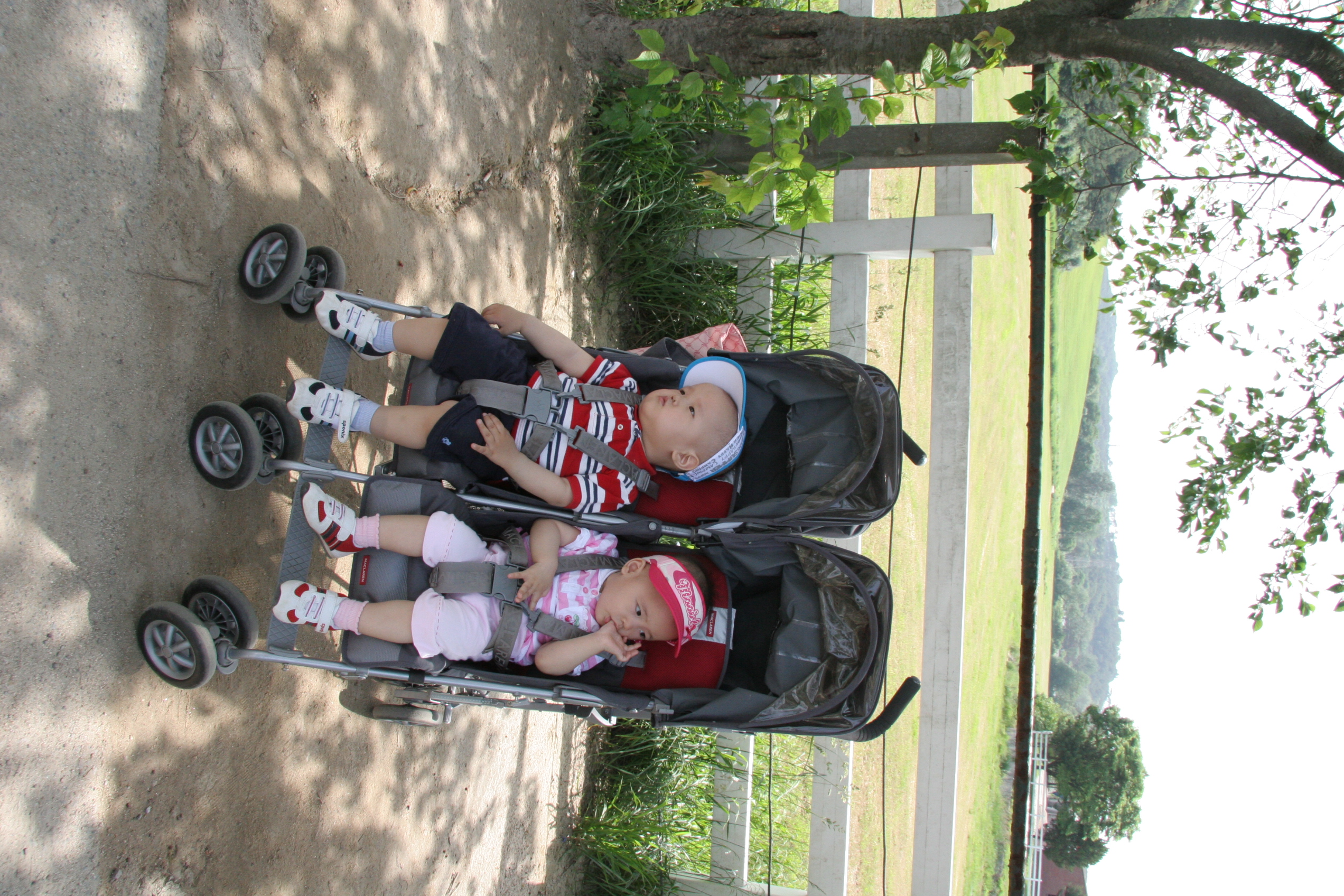 IMG_8954.JPG