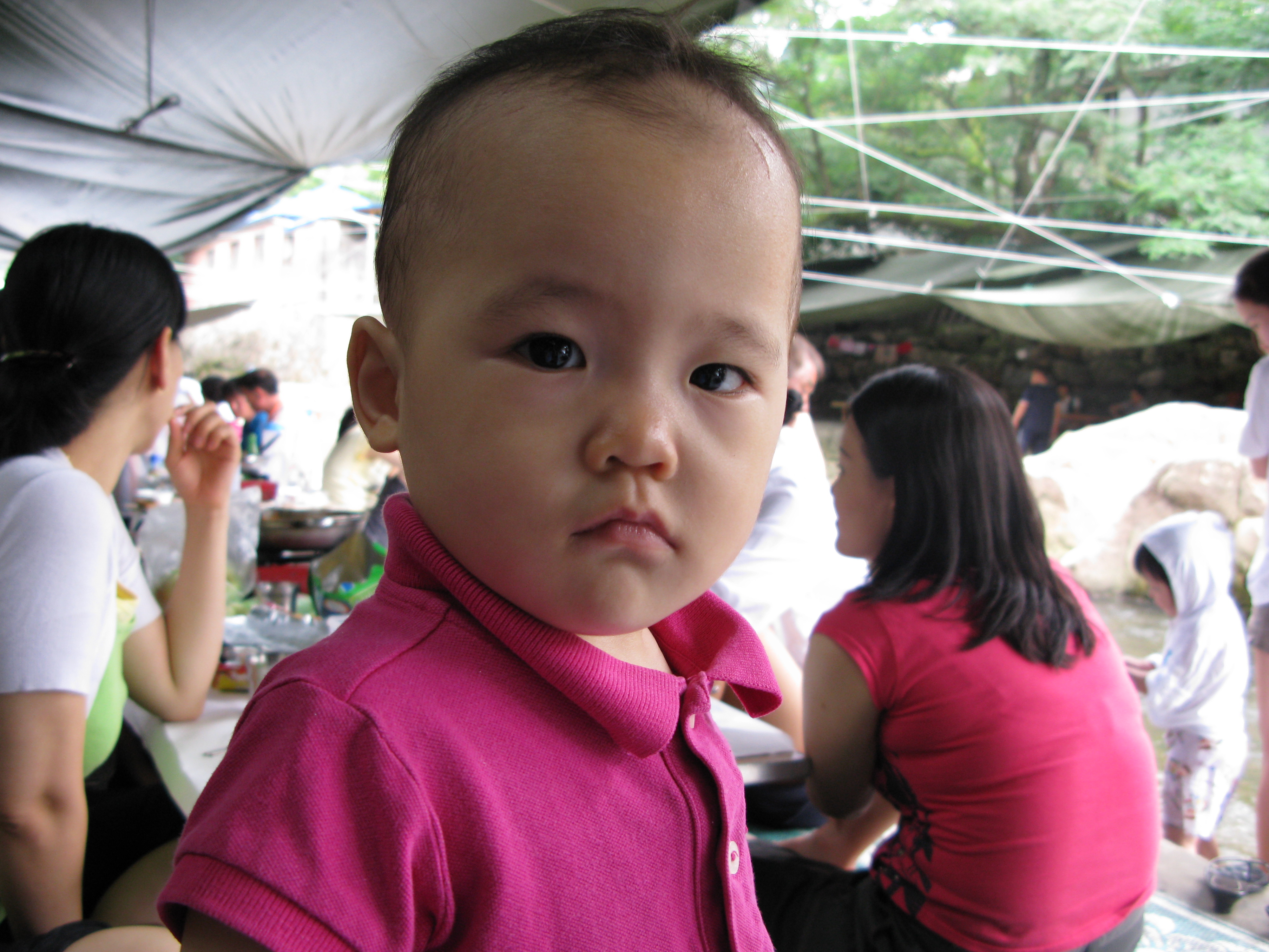 2008-08-17 오후 1-19-42.JPG
