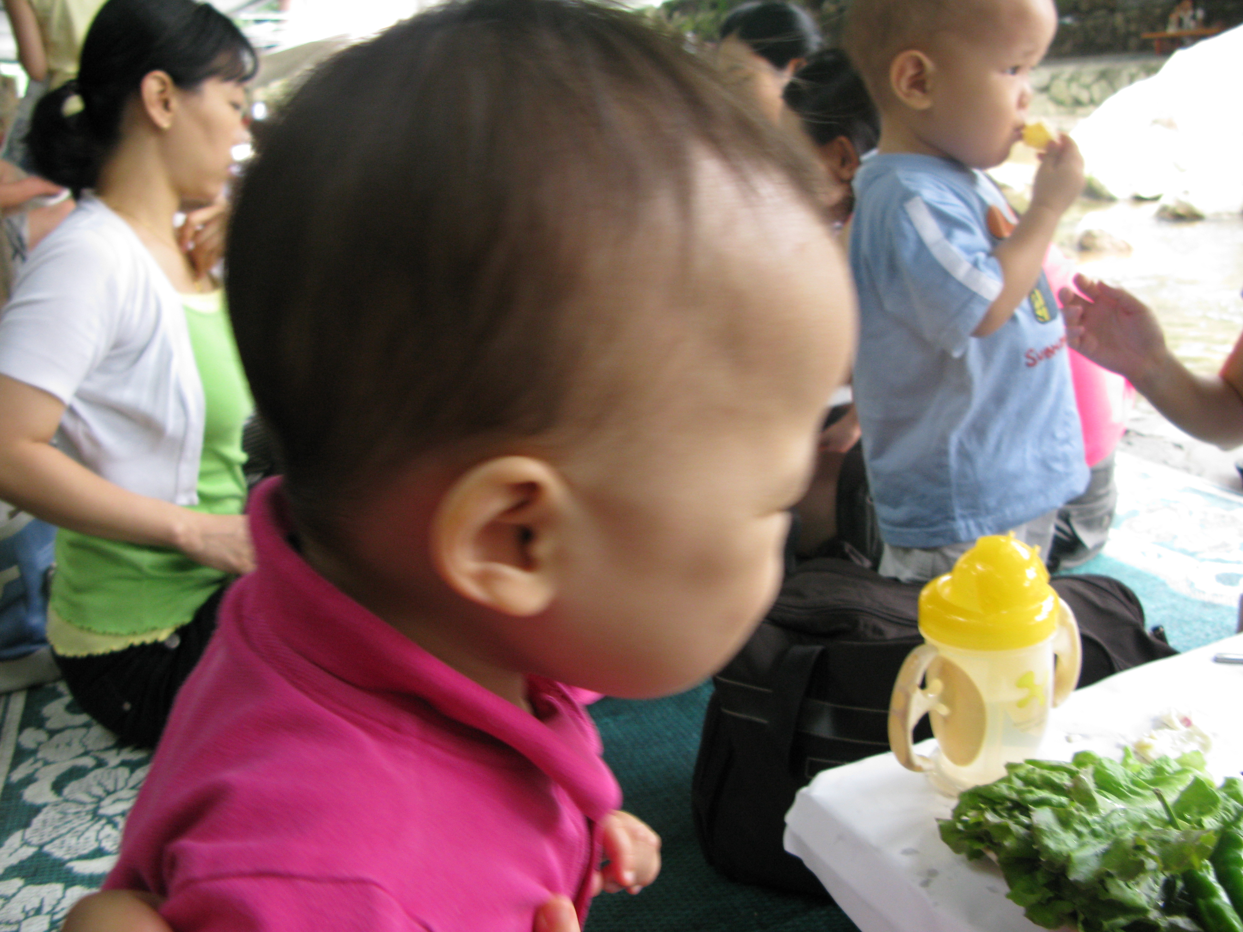 2008-08-17 오후 1-49-04.JPG