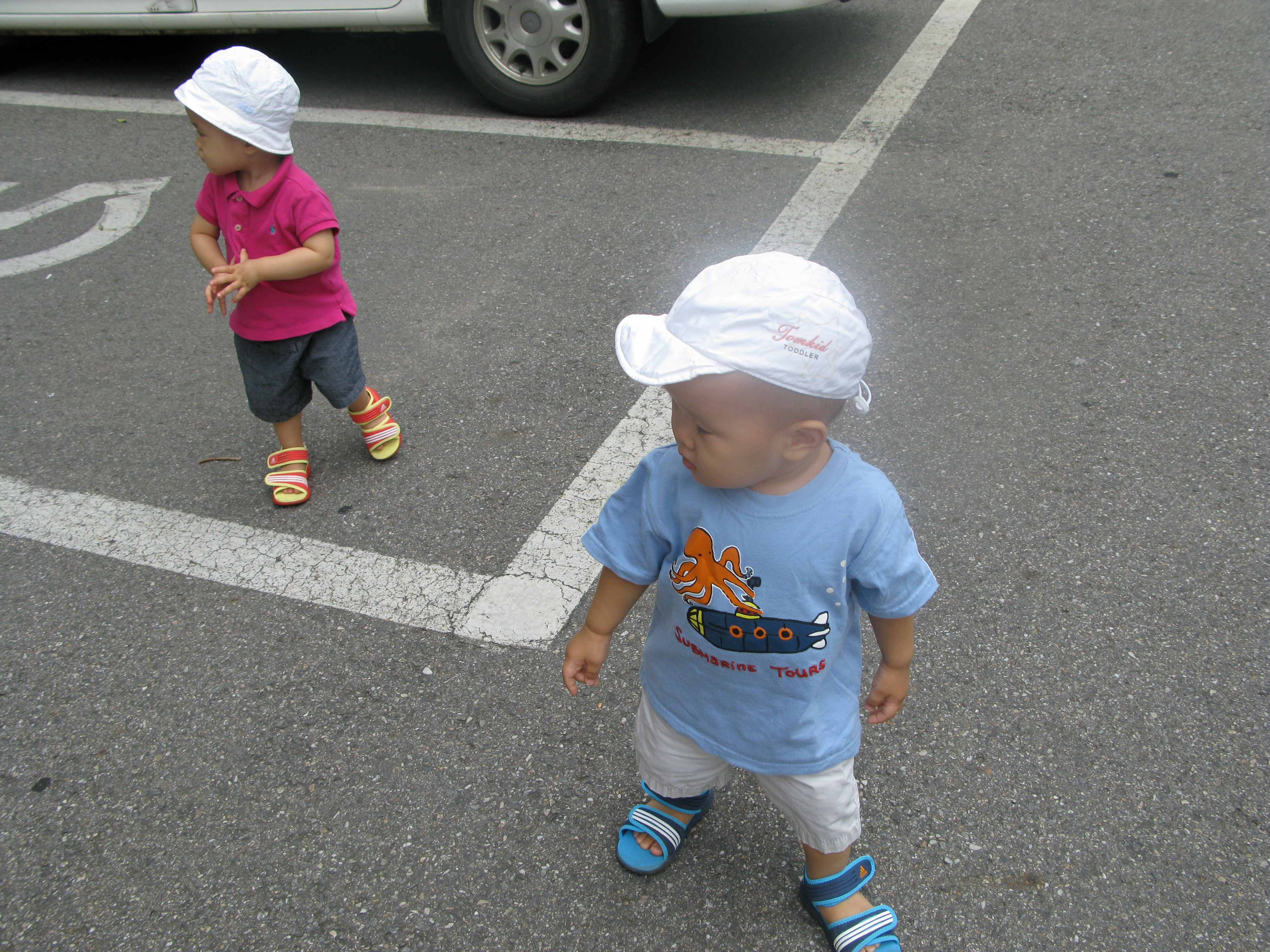 2008-08-17 오후 12-20-03.JPG