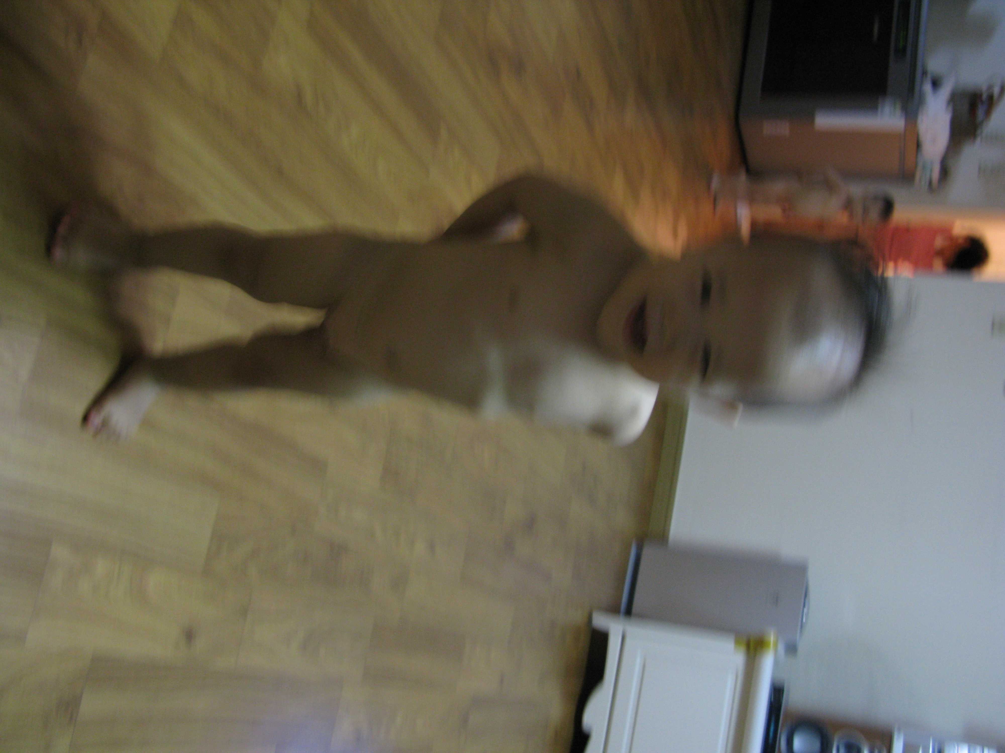 2008-08-17 오후 9-29-53.JPG