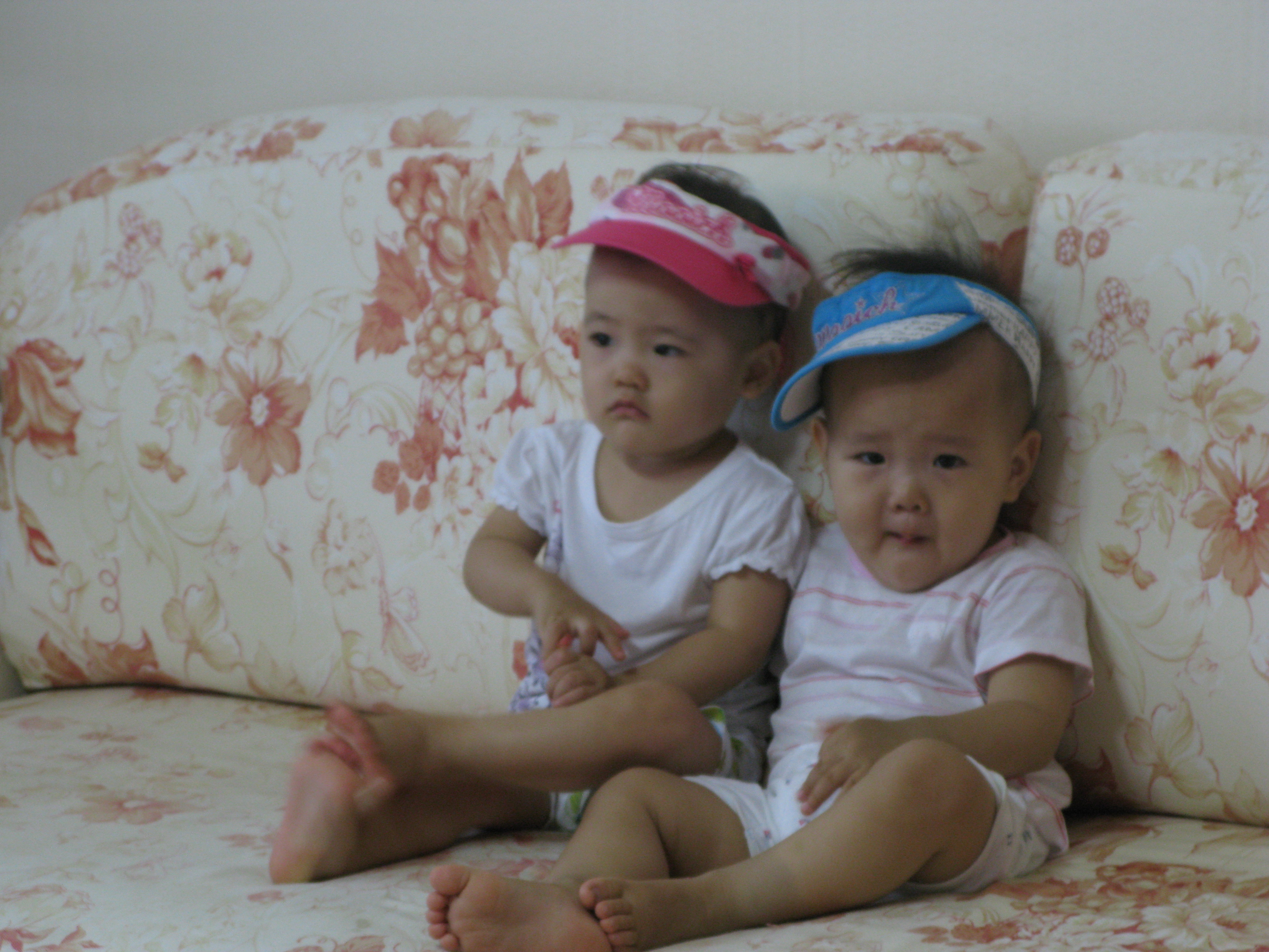 2008-08-18 오전 9-12-04.JPG